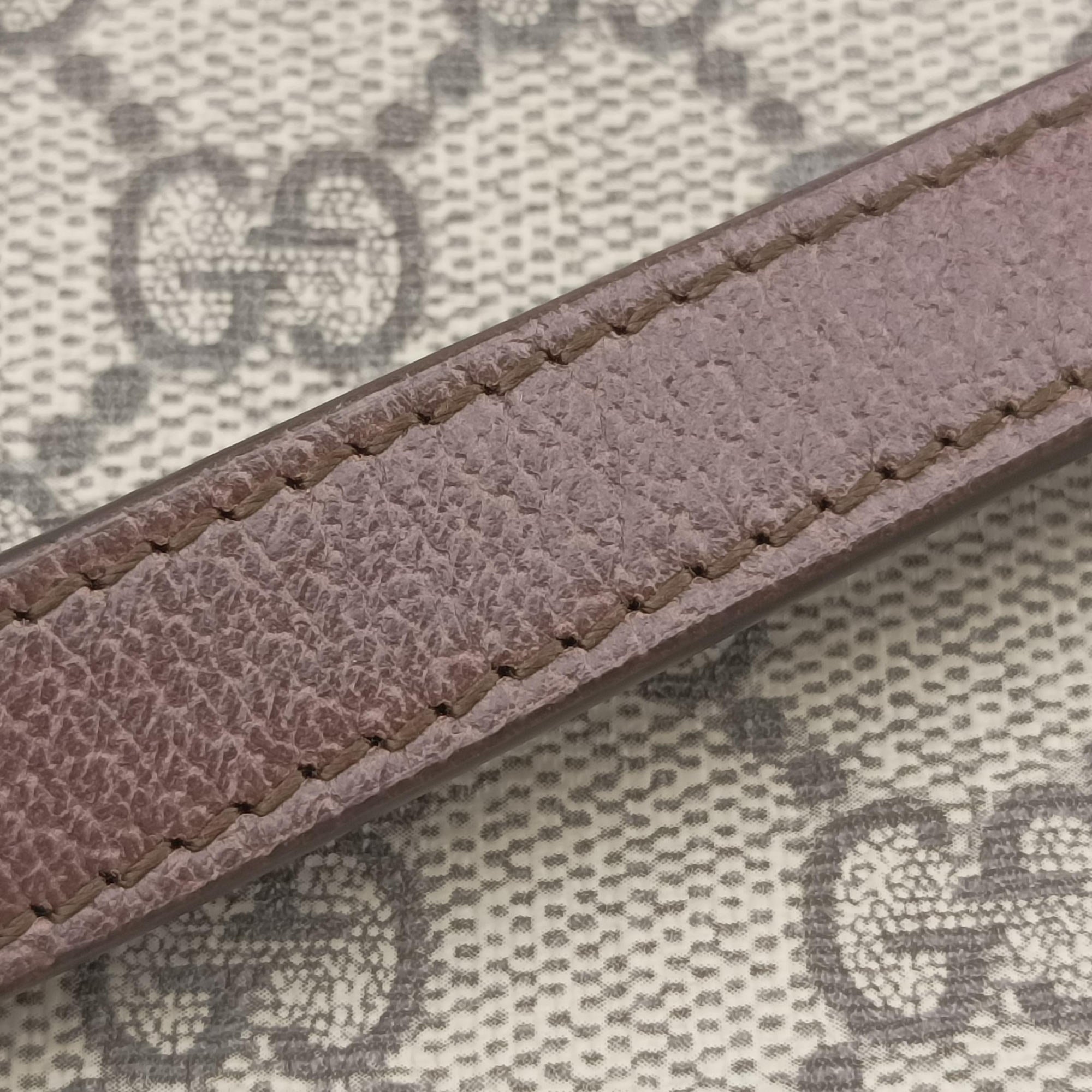 Ophidia Brown×beige×multi PVC coated canvas×Leather 598661 オフィディア ブラウン×ベージュ×マルチ PVCコーティングキャンバス×レザー 598661