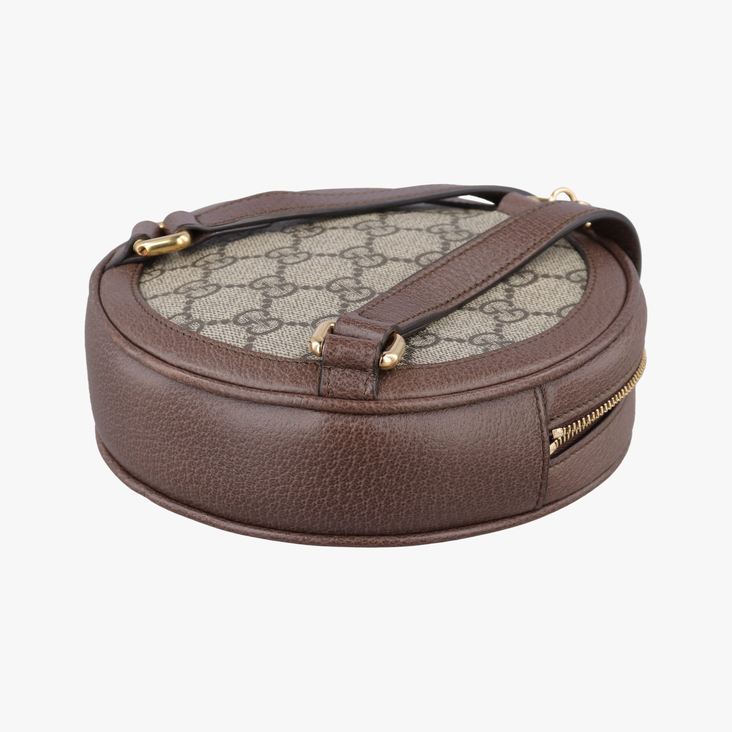 Ophidia Brown×beige×multi PVC coated canvas×Leather 598661 オフィディア ブラウン×ベージュ×マルチ PVCコーティングキャンバス×レザー 598661
