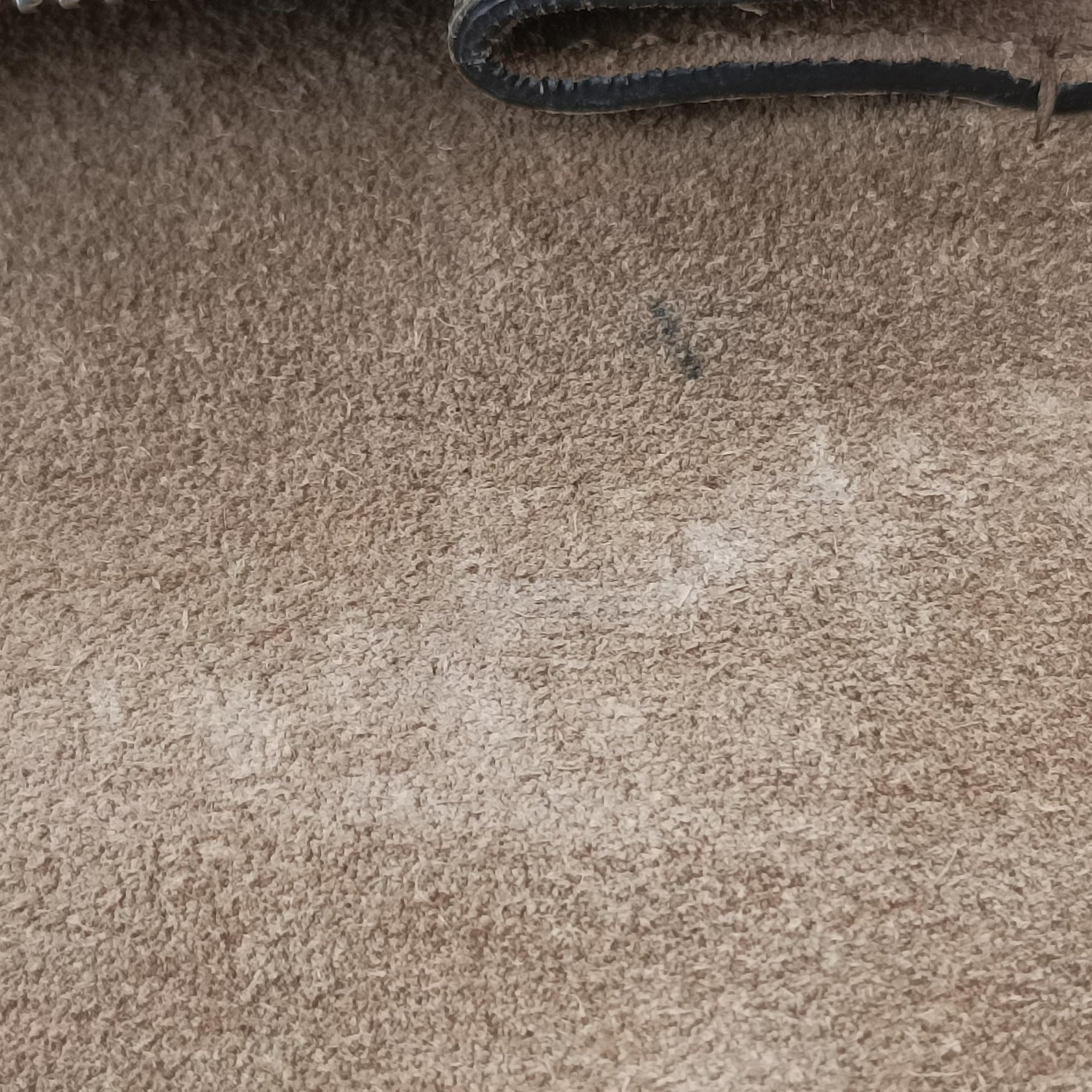 Dionysus Brown PVC coated canvas 400249 A027602214ディオニュソス ブラウン PVCコーティングキャンバス 400249 A027602214