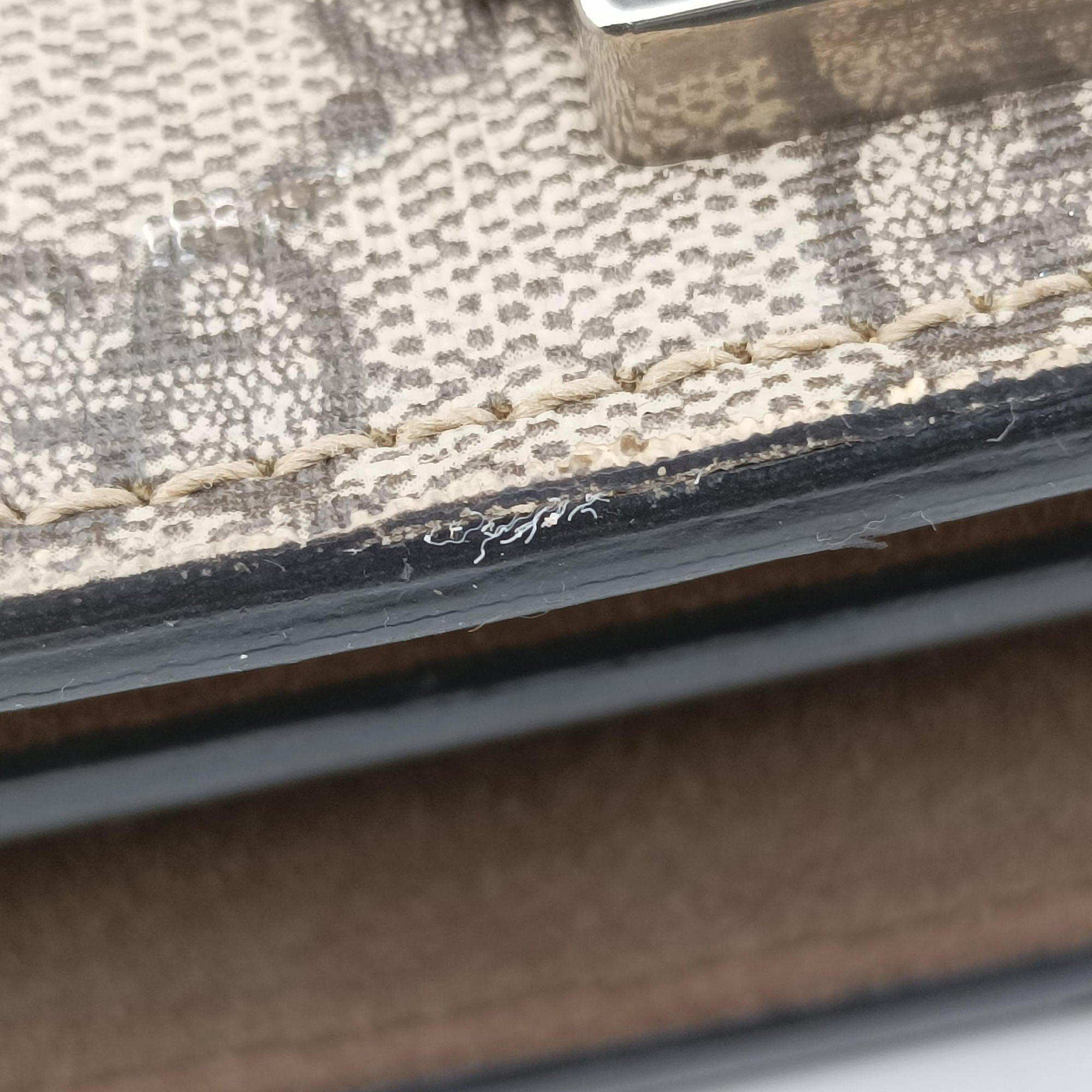 Dionysus Brown PVC coated canvas 400249 A027602214ディオニュソス ブラウン PVCコーティングキャンバス 400249 A027602214