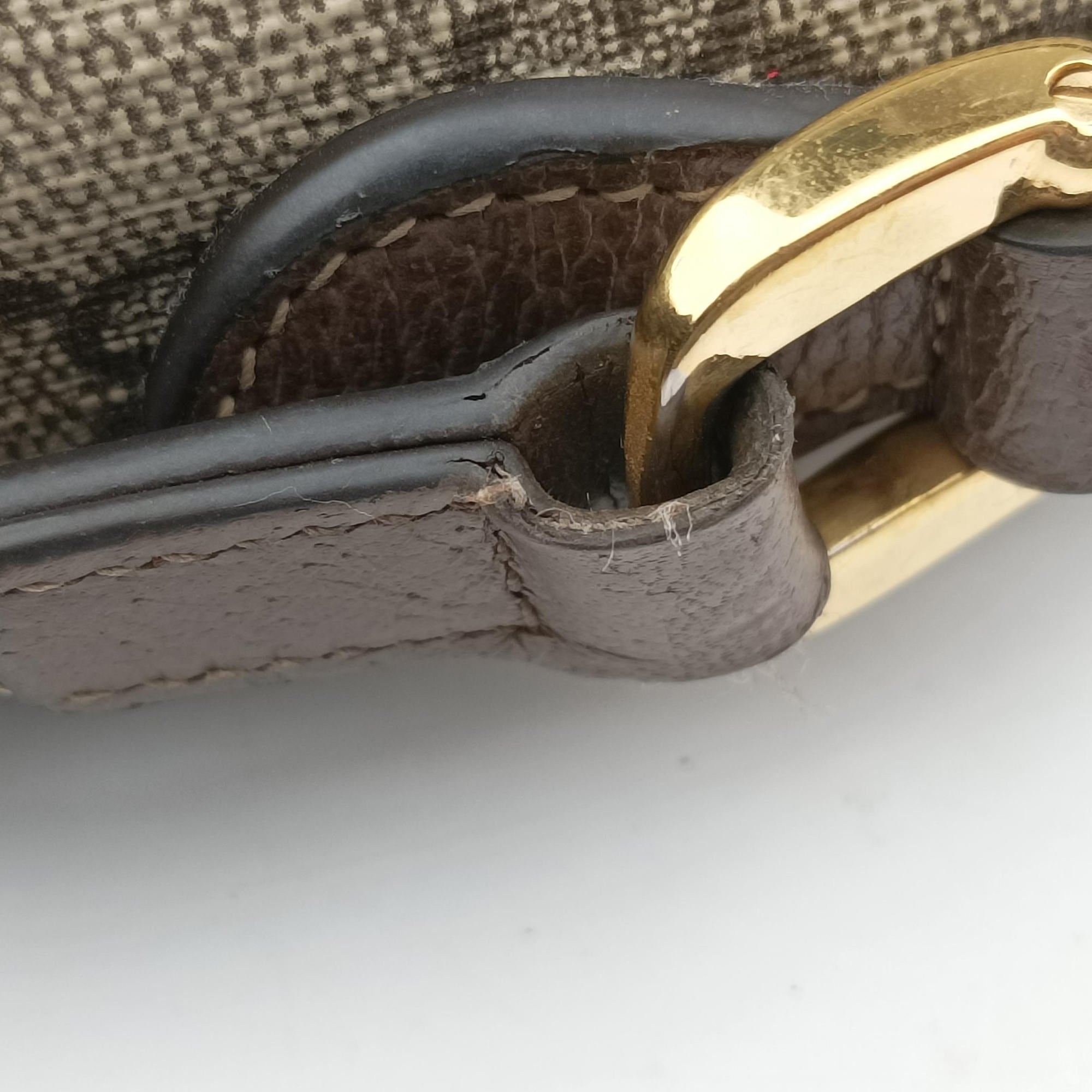 OPHIDIA Brown×red×green PVC coated canvas×leather 517350 オフィディア ブラウン×レッド×グリーン PVCコーティングキャンバス×レザー 517350