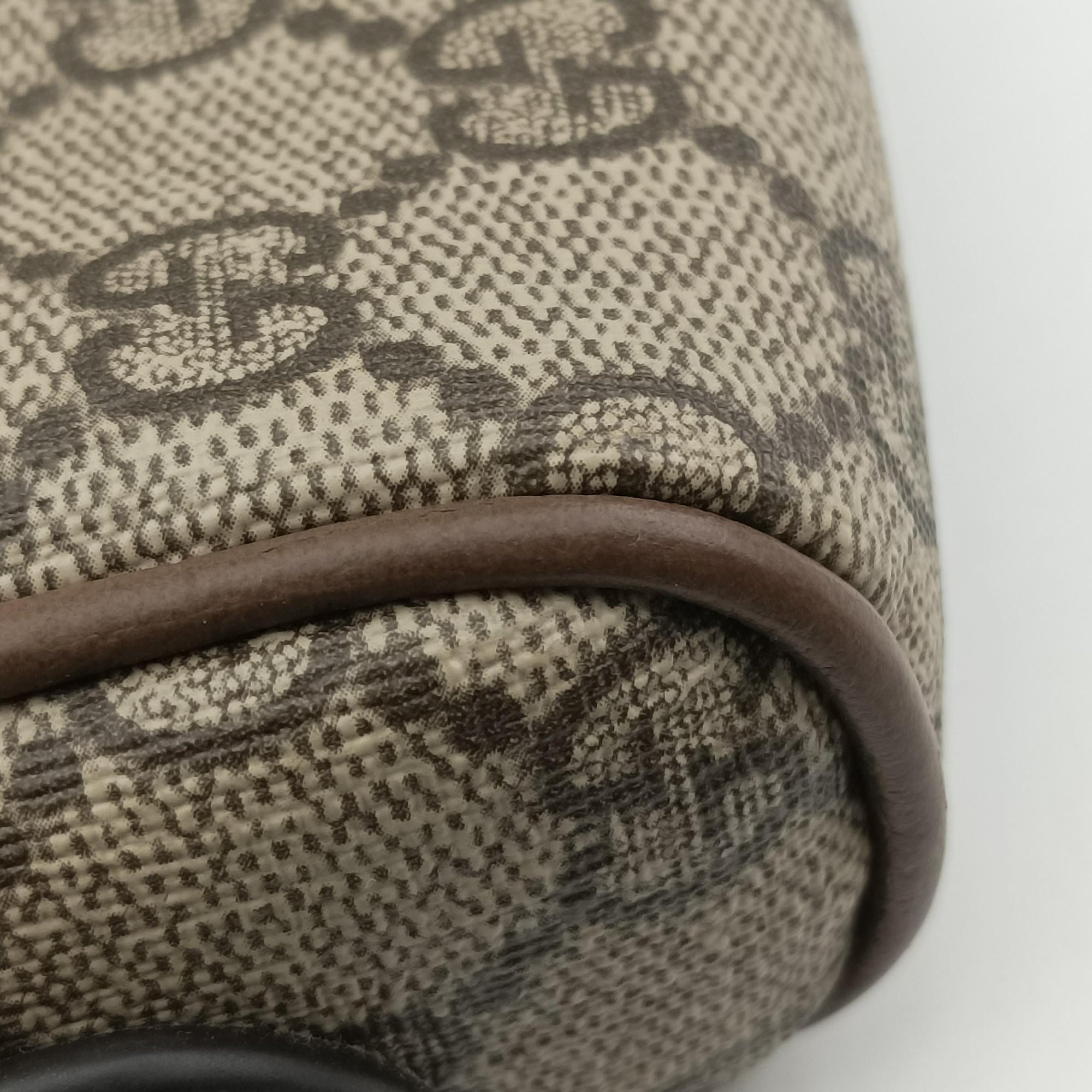 OPHIDIA Brown×red×green PVC coated canvas×leather 517350 オフィディア ブラウン×レッド×グリーン PVCコーティングキャンバス×レザー 517350