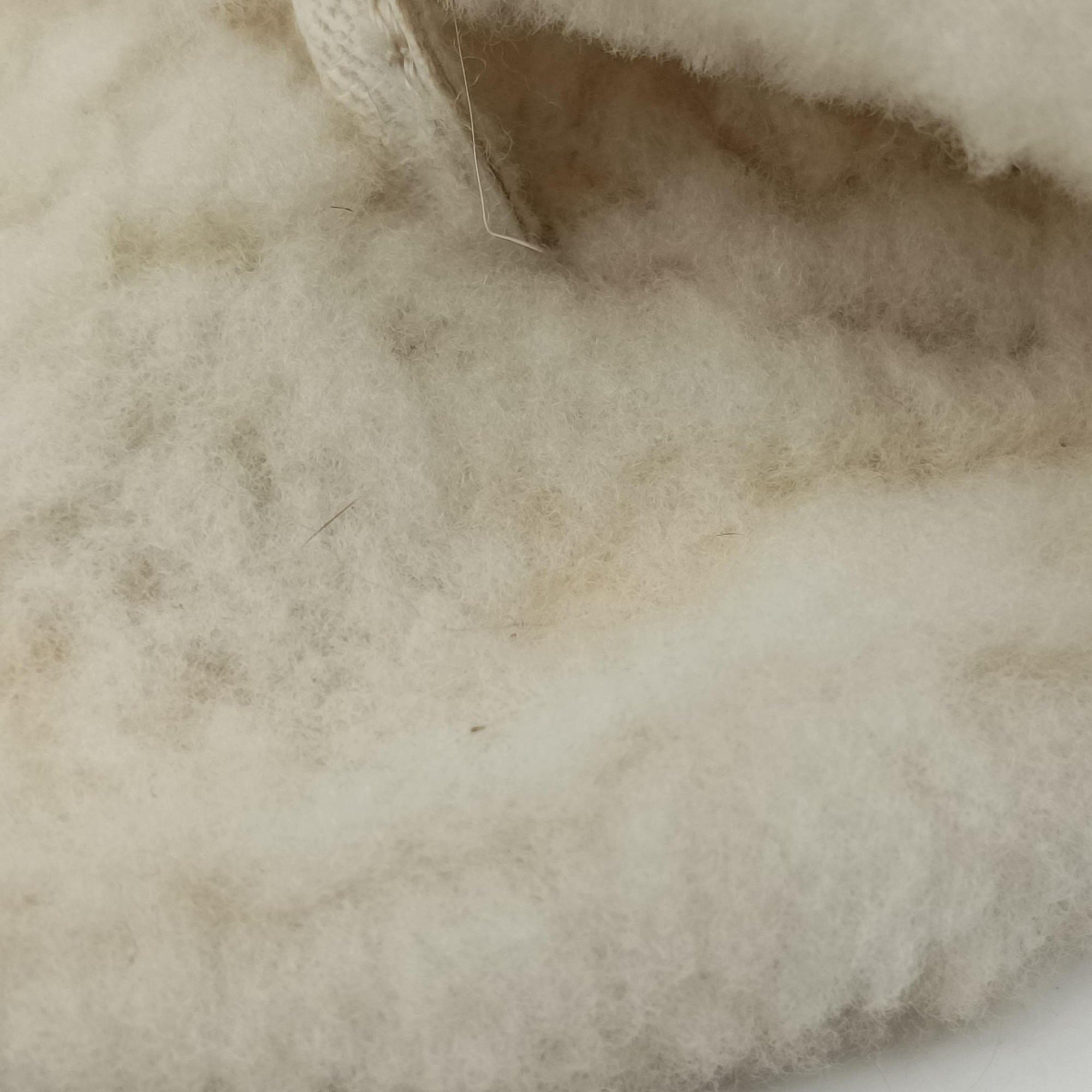 Chanel 19 Ivory Shearling × Lambskin シャネル 19 ディズヌフ アイボリー シアリング×ラムスキン
