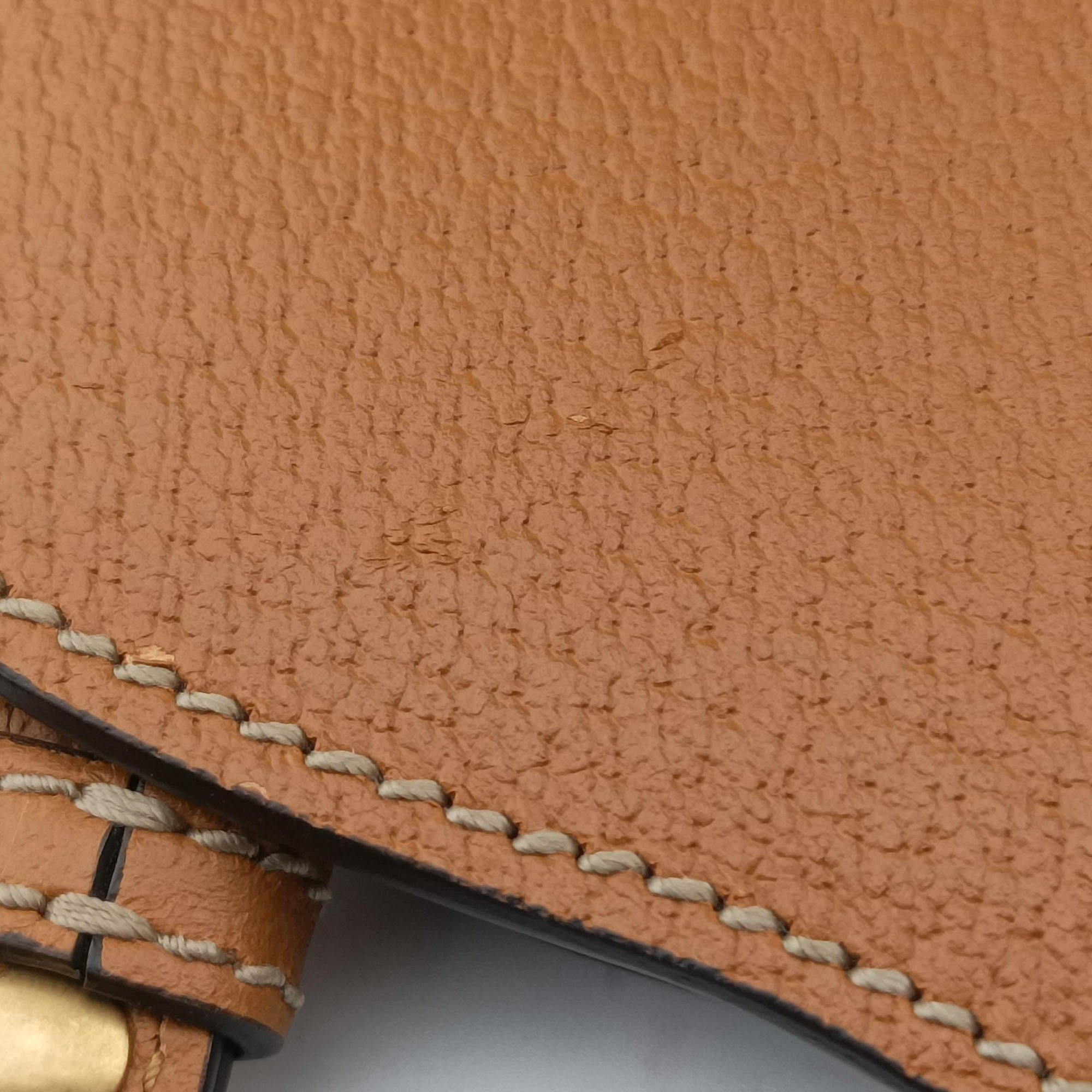 Ophidia Multicolour PVC coated canvas×Leather 603937 E030849464オフィディア マルチカラー PVCコーティングキャンバス×レザー 603937 E030849464