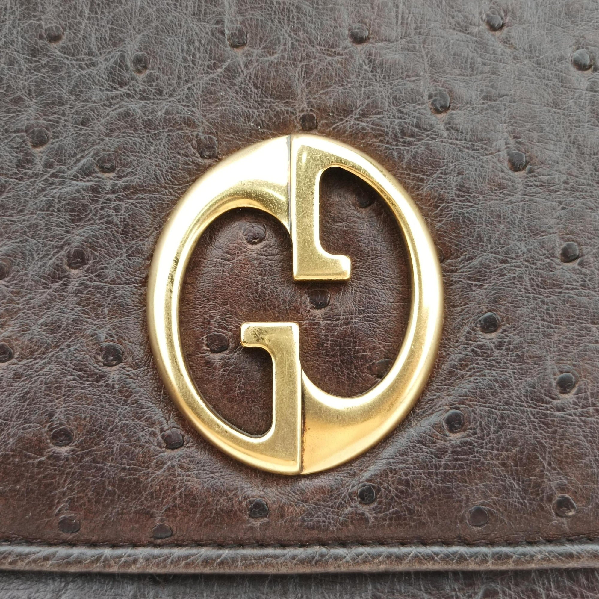 1973 Double G Brown Ostrich Leather 251820 C99565351973 ダブルG ブラウン オーストリッチ 251820 C9956535
