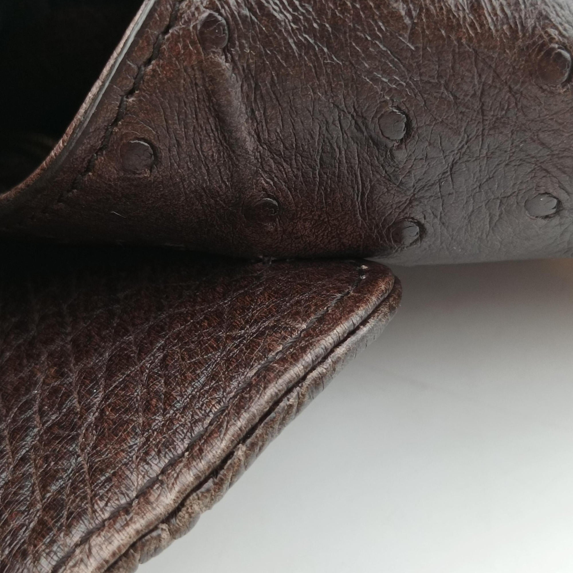1973 Double G Brown Ostrich Leather 251820 C99565351973 ダブルG ブラウン オーストリッチ 251820 C9956535