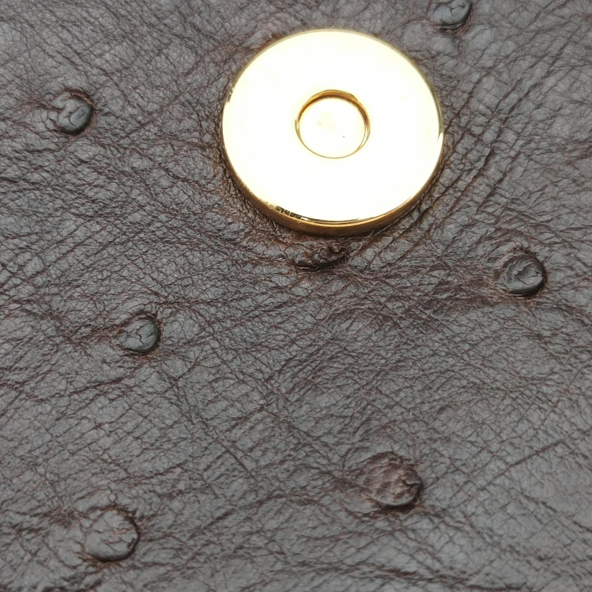 1973 Double G Brown Ostrich Leather 251820 C99565351973 ダブルG ブラウン オーストリッチ 251820 C9956535