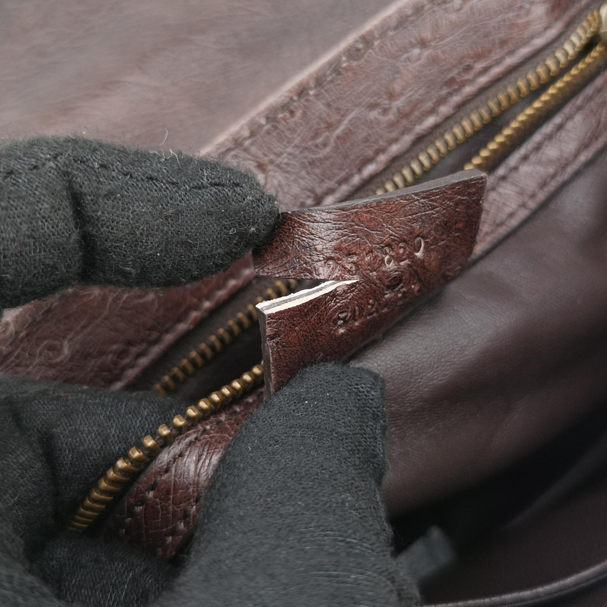 1973 Double G Brown Ostrich Leather 251820 C99565351973 ダブルG ブラウン オーストリッチ 251820 C9956535