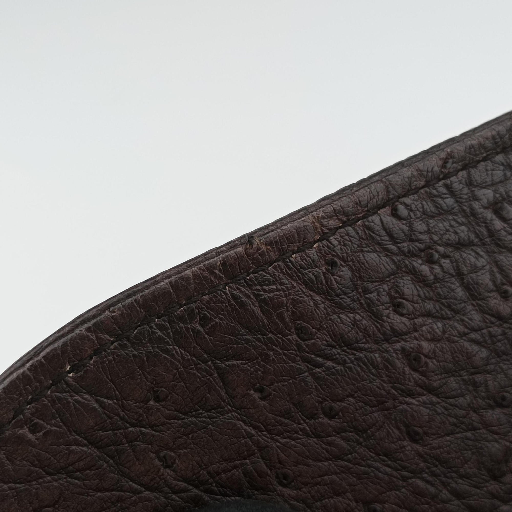 1973 Double G Brown Ostrich Leather 251820 C99565351973 ダブルG ブラウン オーストリッチ 251820 C9956535