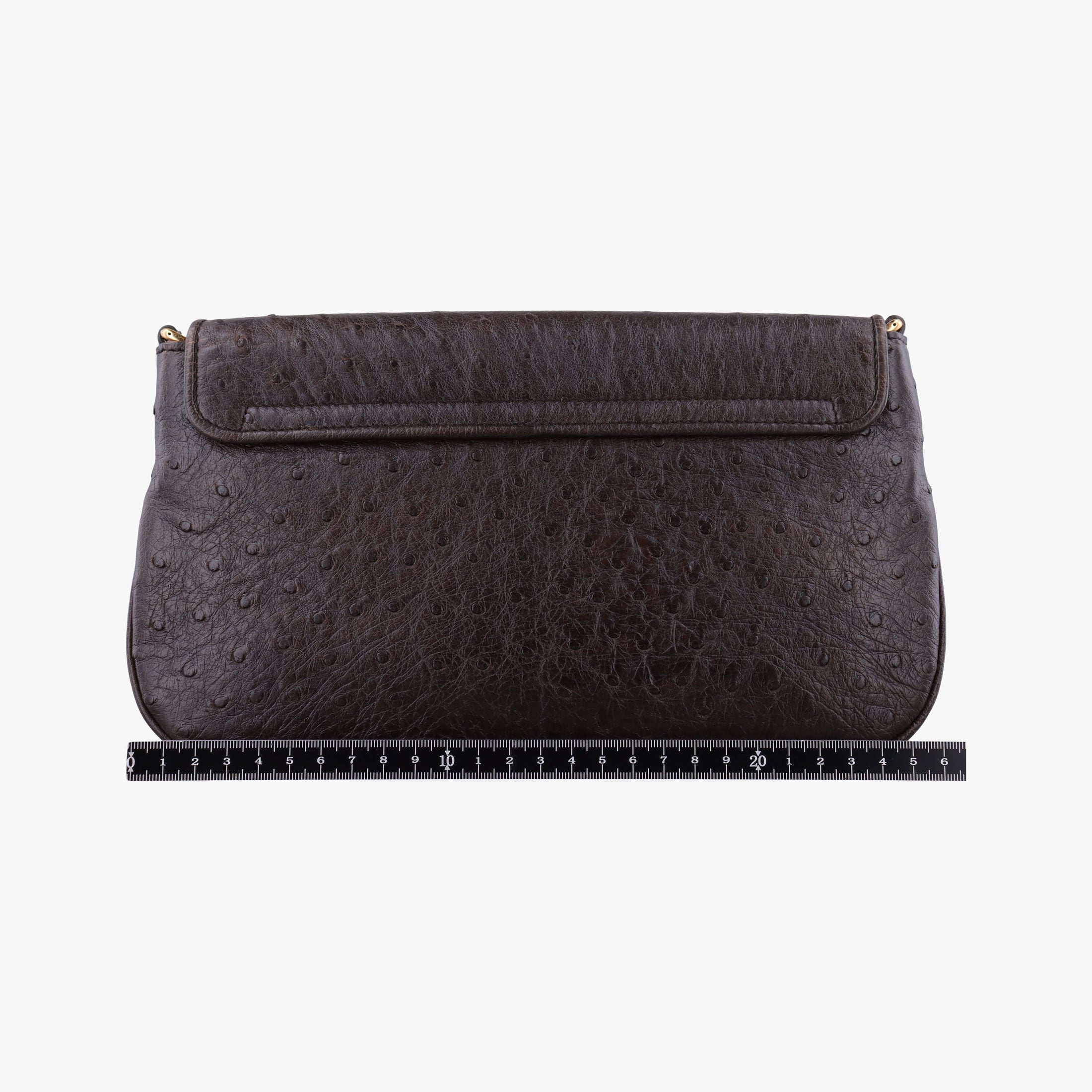 1973 Double G Brown Ostrich Leather 251820 C99565351973 ダブルG ブラウン オーストリッチ 251820 C9956535