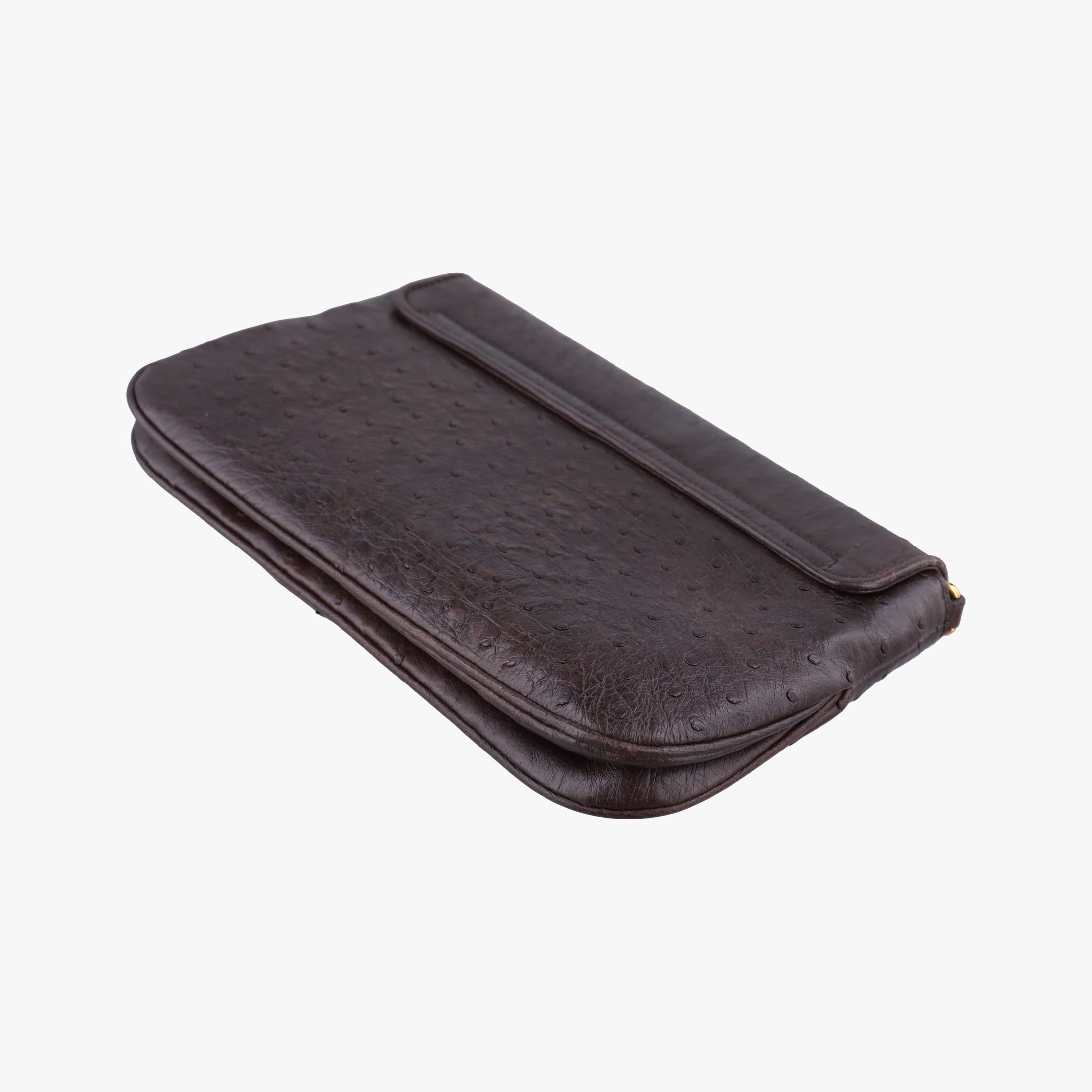 1973 Double G Brown Ostrich Leather 251820 C99565351973 ダブルG ブラウン オーストリッチ 251820 C9956535