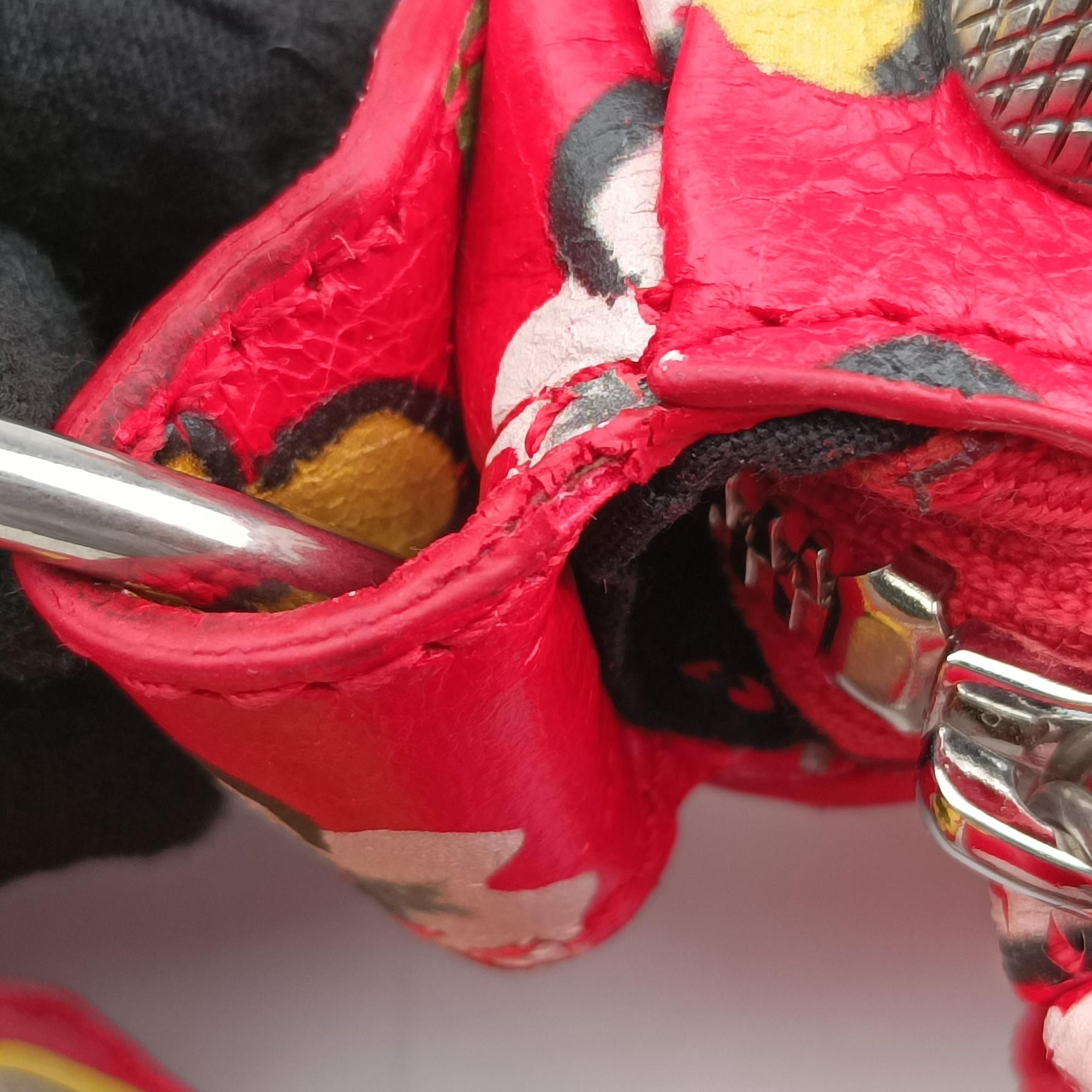 Le Cagole Red × Multicolor lambskin 671309.0576.S.002123ル カゴール レッド × マルチカラー ラムスキン 671309.0576.S.002123