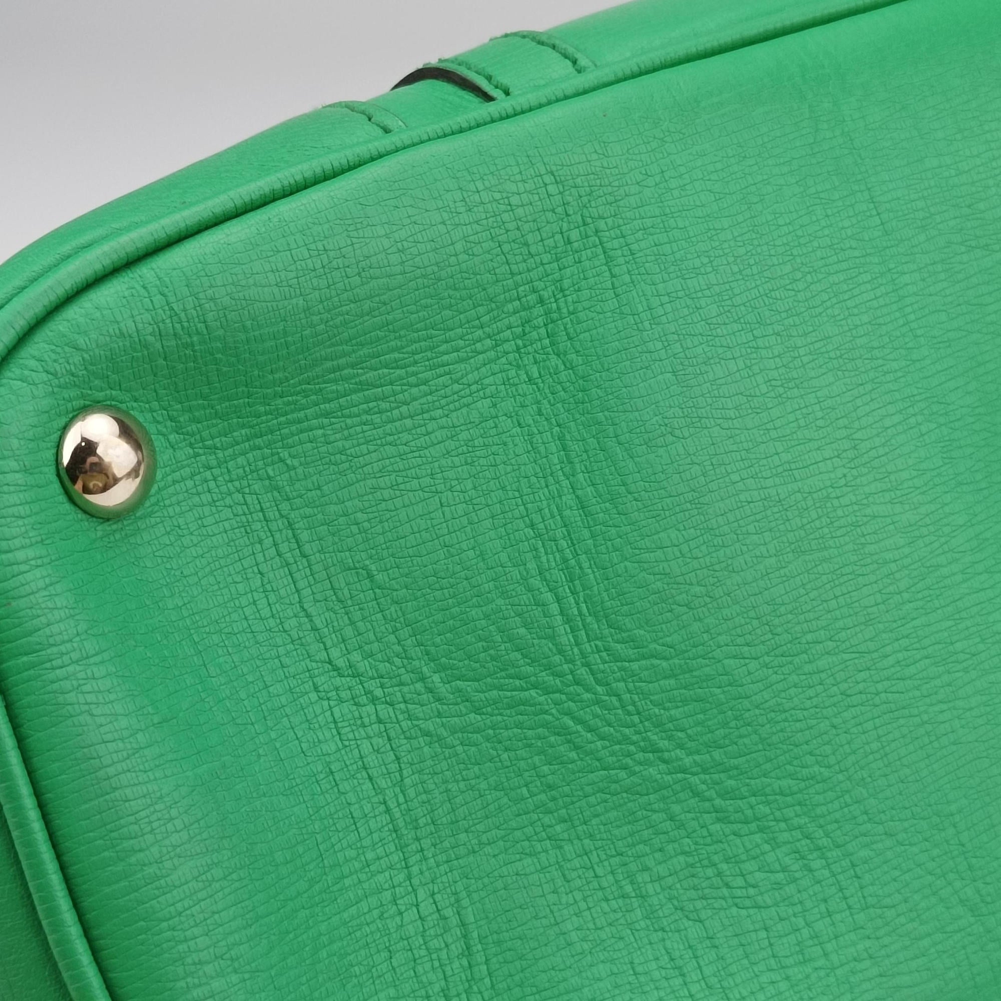 Microguccissima Green Leather 309617 A013850063マイクログッチシマ グリーン レザー 309617 A013850063