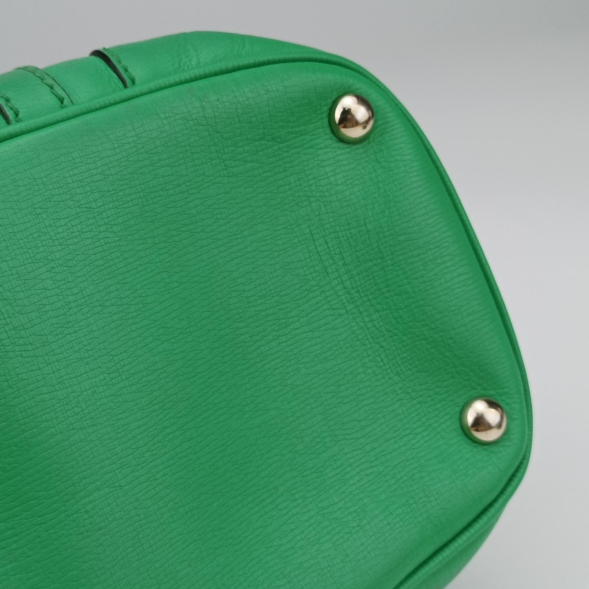 Microguccissima Green Leather 309617 A013850063マイクログッチシマ グリーン レザー 309617 A013850063