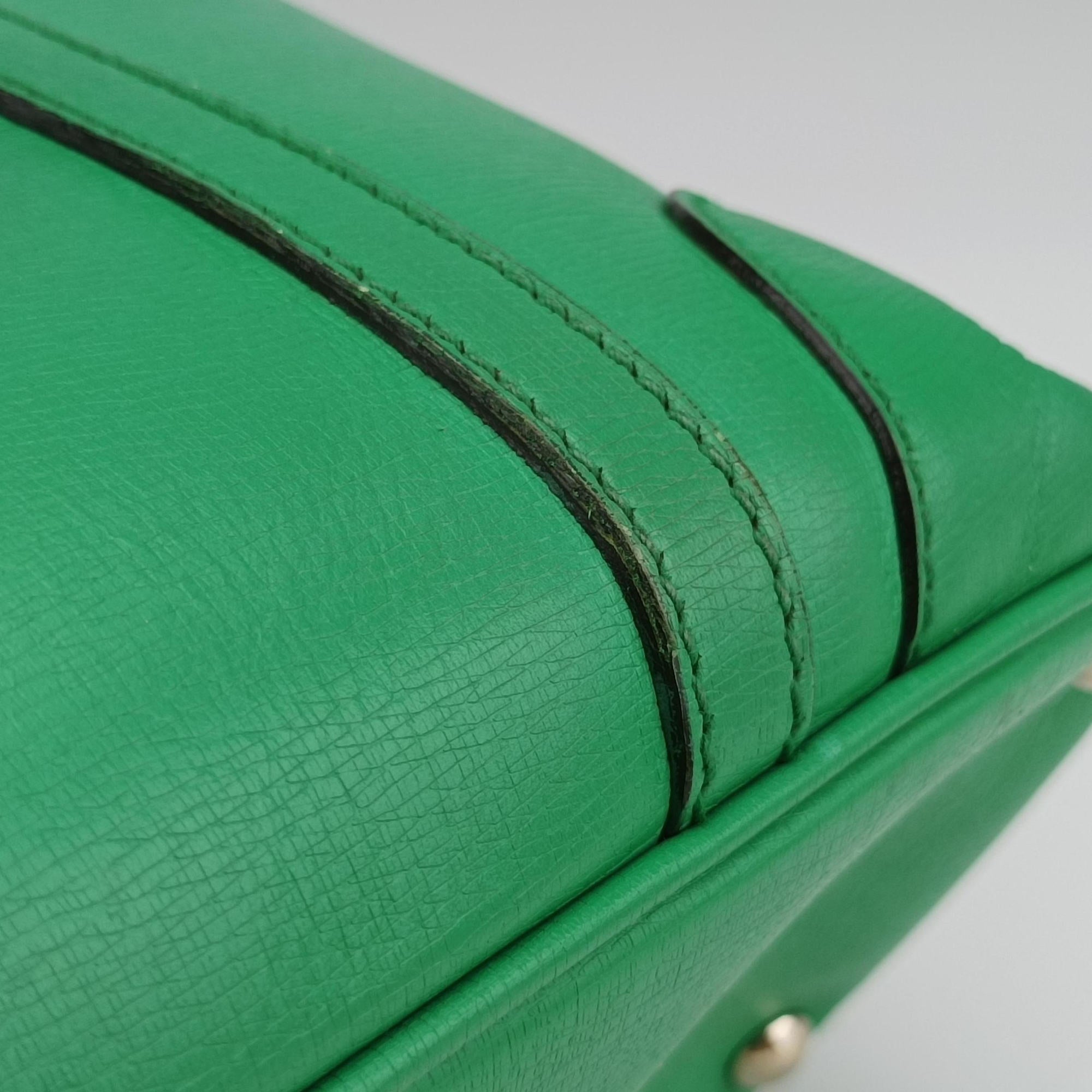 Microguccissima Green Leather 309617 A013850063マイクログッチシマ グリーン レザー 309617 A013850063