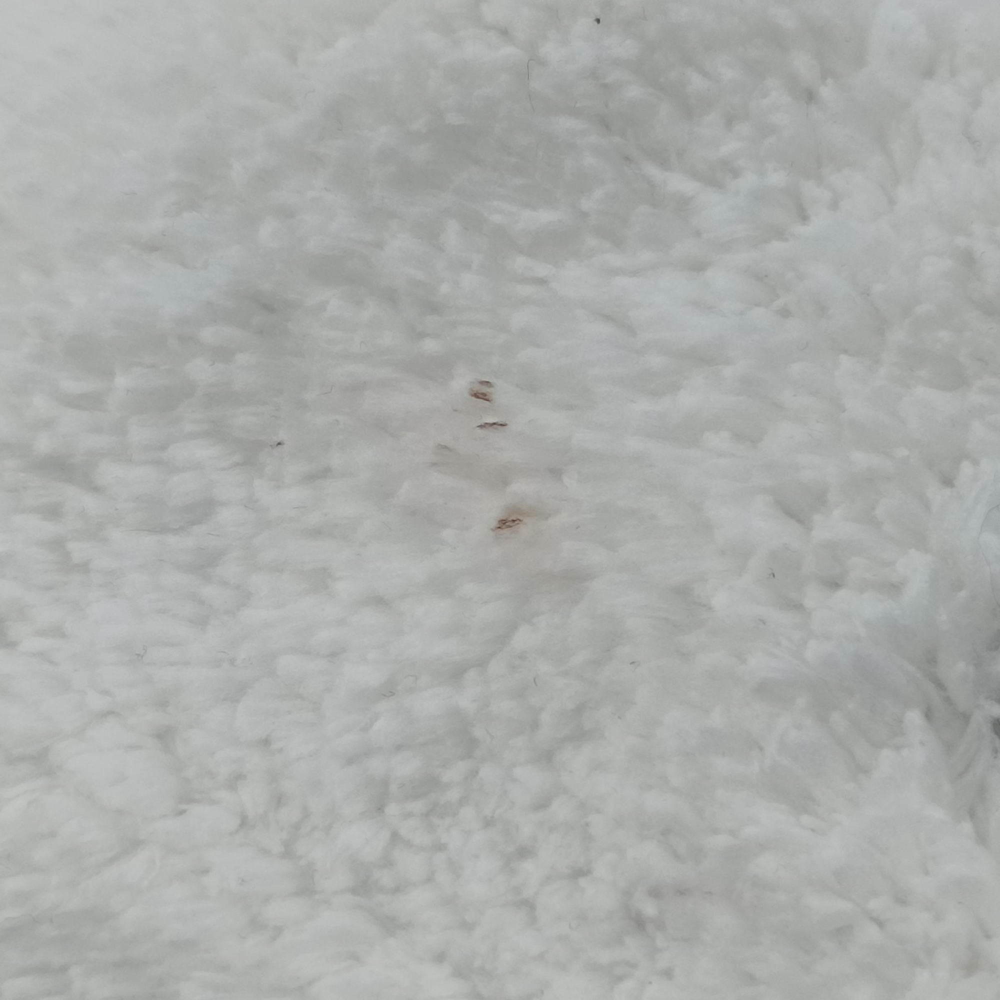 Re-Edition2000 White Terry cloth 1NE515 31/A3リ エディション2000トート ホワイト タオル地 1NE515 31/A3