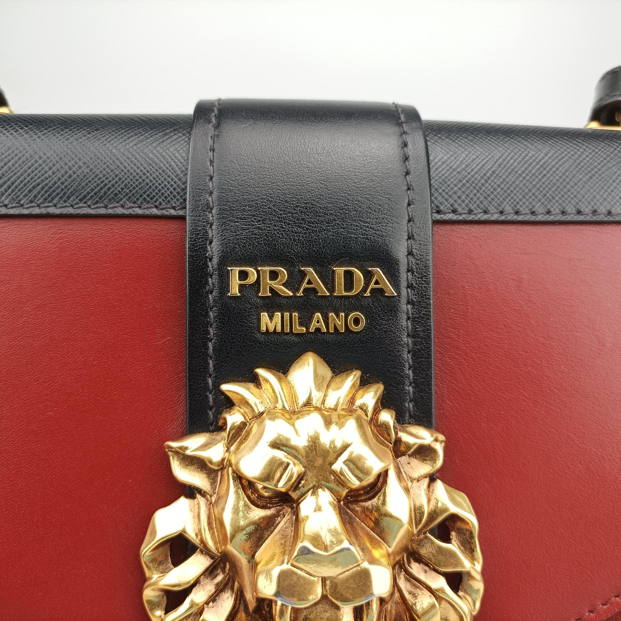 Animalier Cahier Lions Head Black×Red Leather 1BD089 25カイエ ライオンヘッド ブラック×レッド レザー 1BD089 25