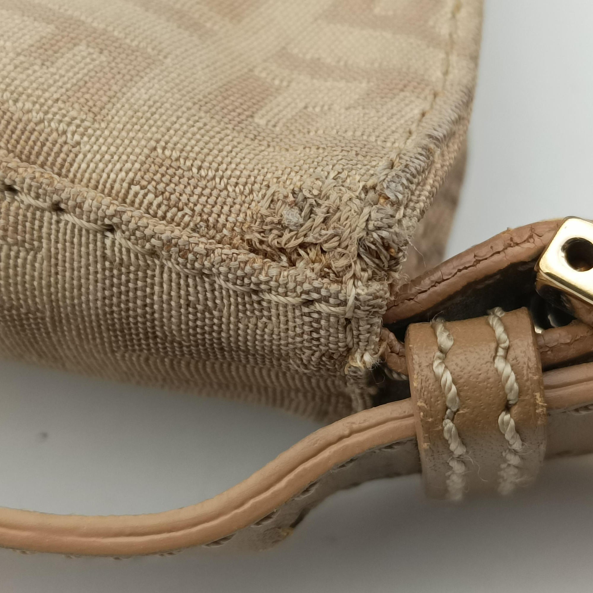 Zucchino Beige canvas 8BR036 2305/8BR036/LPN/058ズッキーノ柄 ベージュ キャンバス 8BR036 2305/8BR036/LPN/058