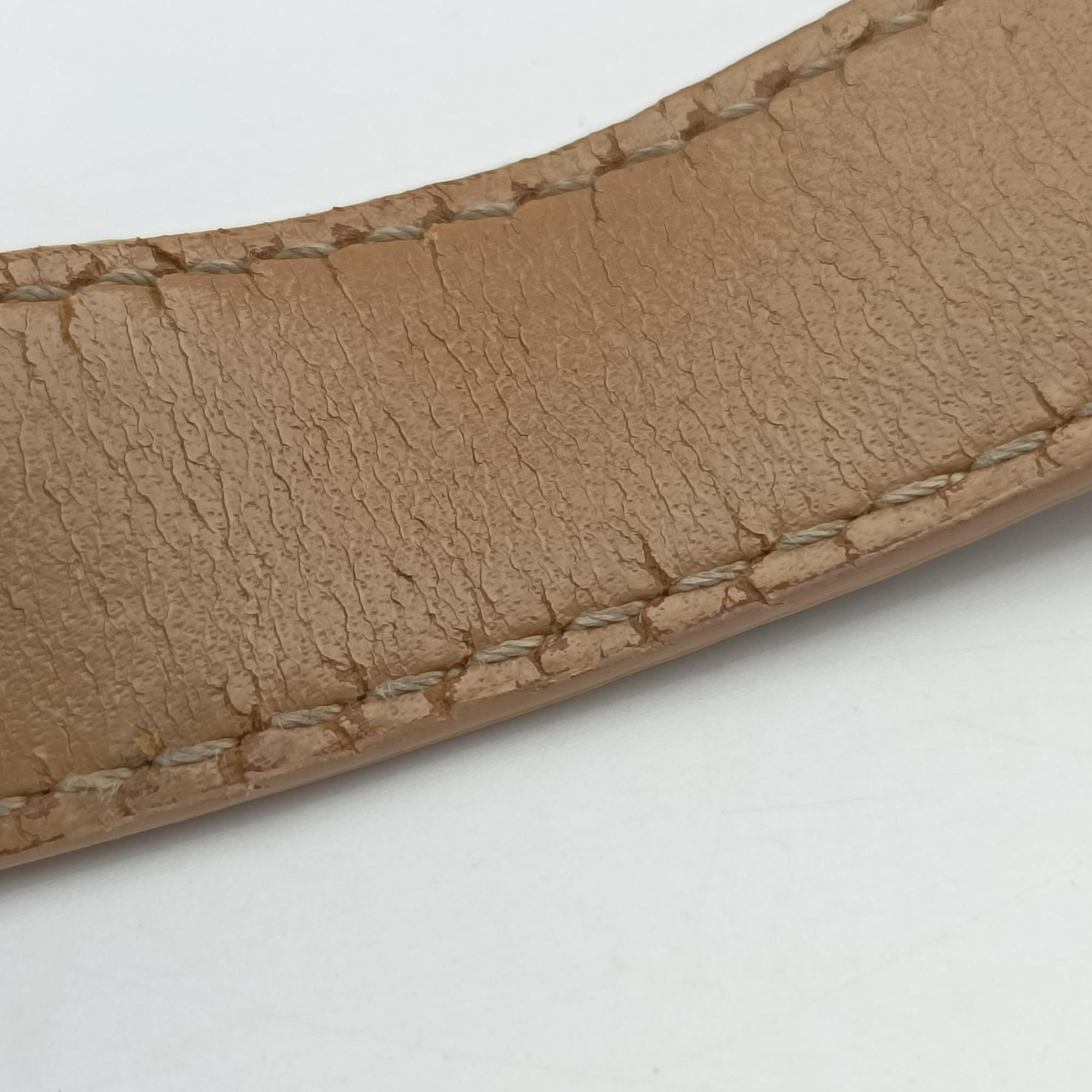 Zucchino Beige canvas 8BR036 2305/8BR036/LPN/058ズッキーノ柄 ベージュ キャンバス 8BR036 2305/8BR036/LPN/058