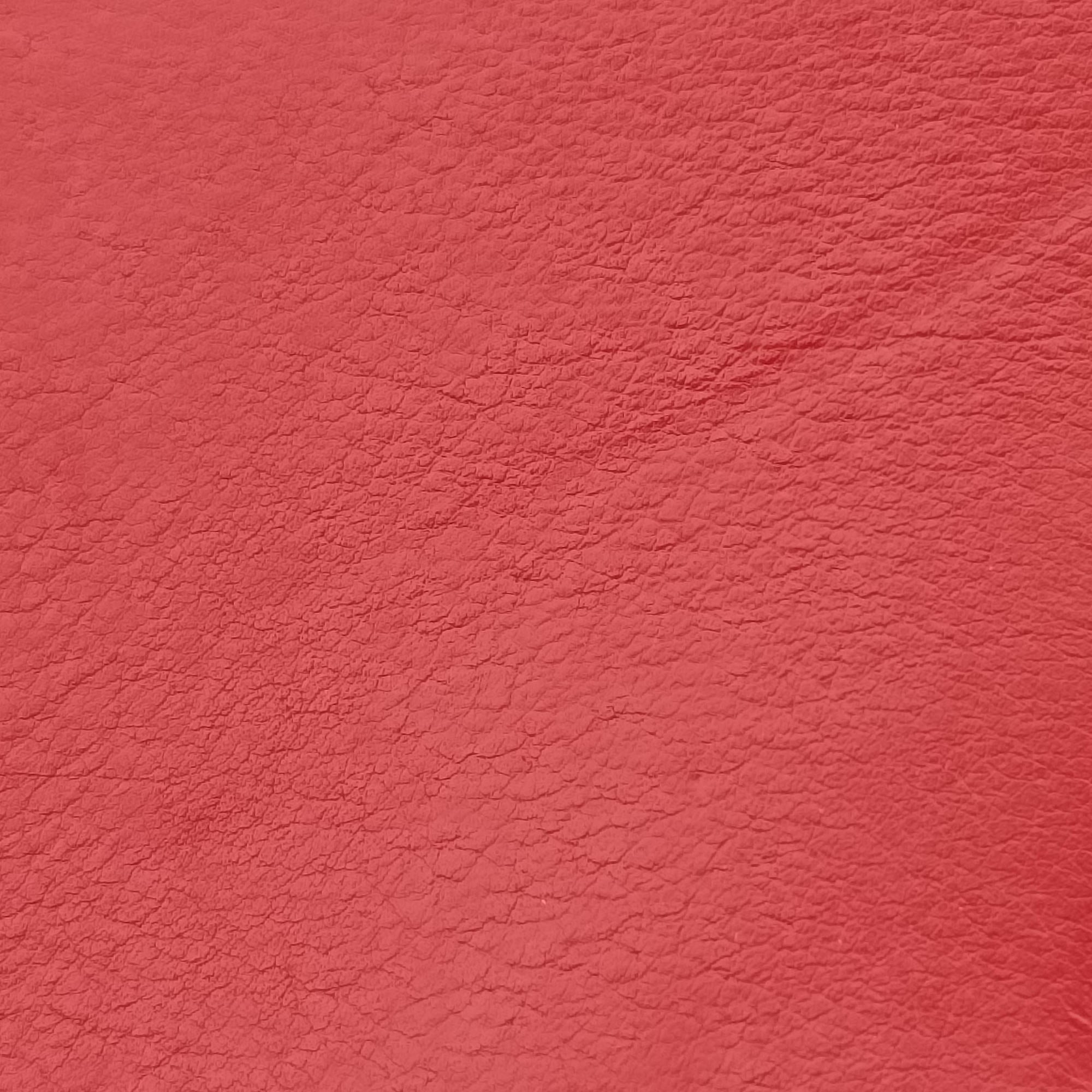 Emily Red Leather 283063 A010825236エミリー レッド レザー 283063 A010825236