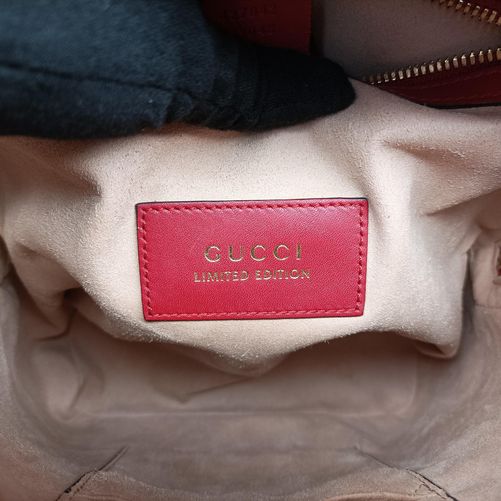 GG Supreme Tian Multicolour PVC coated canvas 427042 A020486382GGスプリームティアン マルチカラー PVCコーティングキャンバス 427042 A020486382