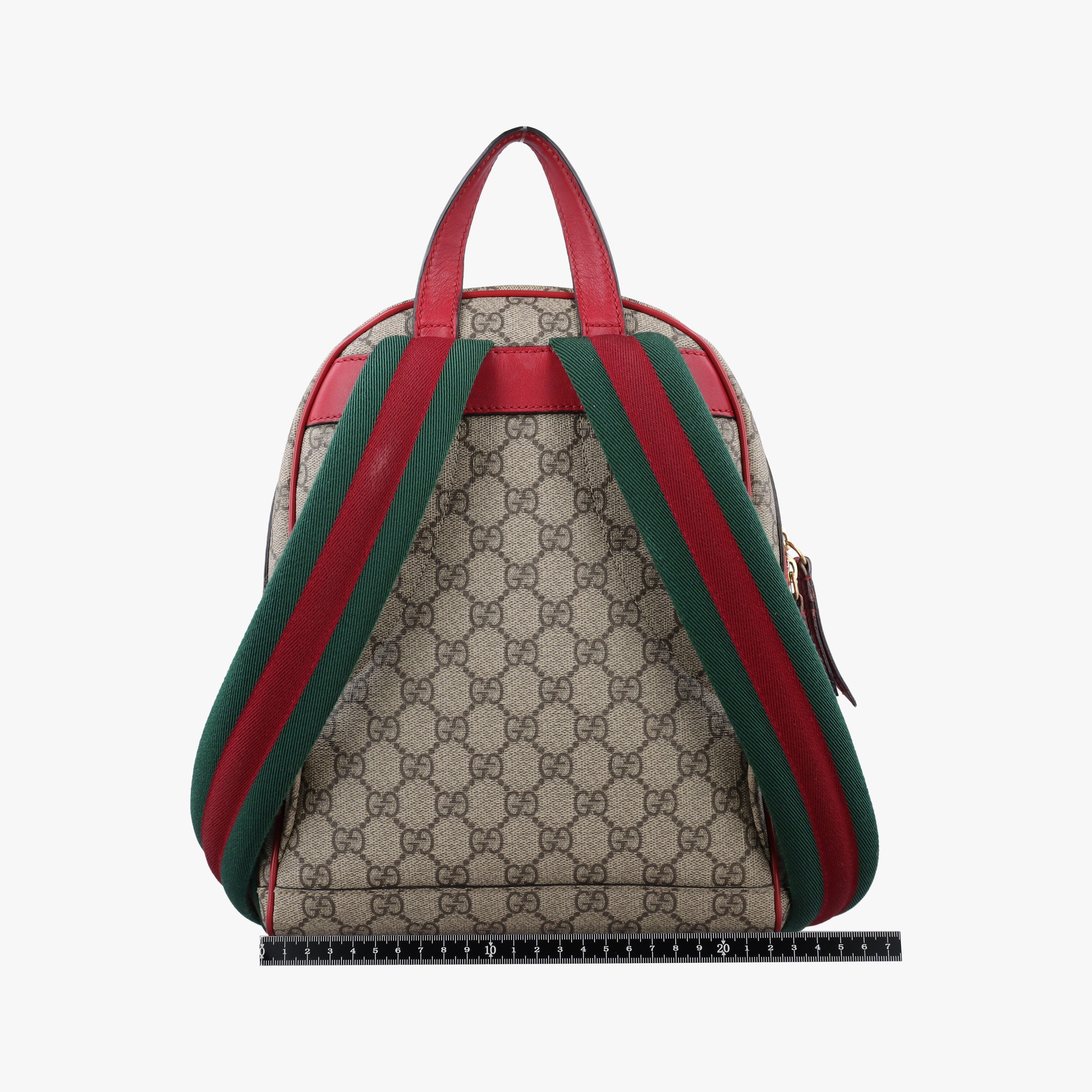 GG Supreme Tian Multicolour PVC coated canvas 427042 A020486382GGスプリームティアン マルチカラー PVCコーティングキャンバス 427042 A020486382