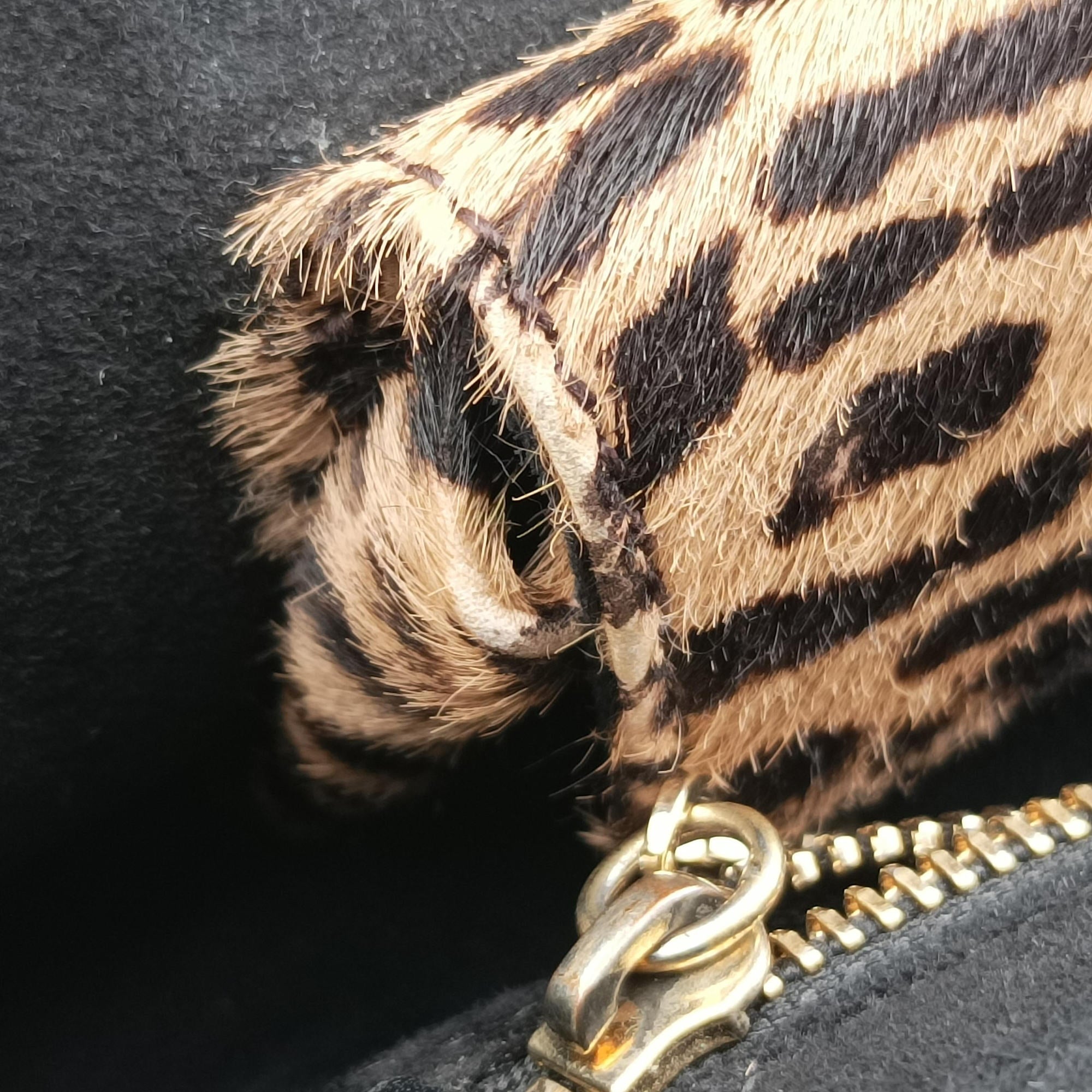 Serpenti Scaglie Black × Leopard Pattern Pony × Leather EK.F14.37788セルペンティ スカリエ ブラック × レオパード柄 ハラコ×レザー EK.F14.37788