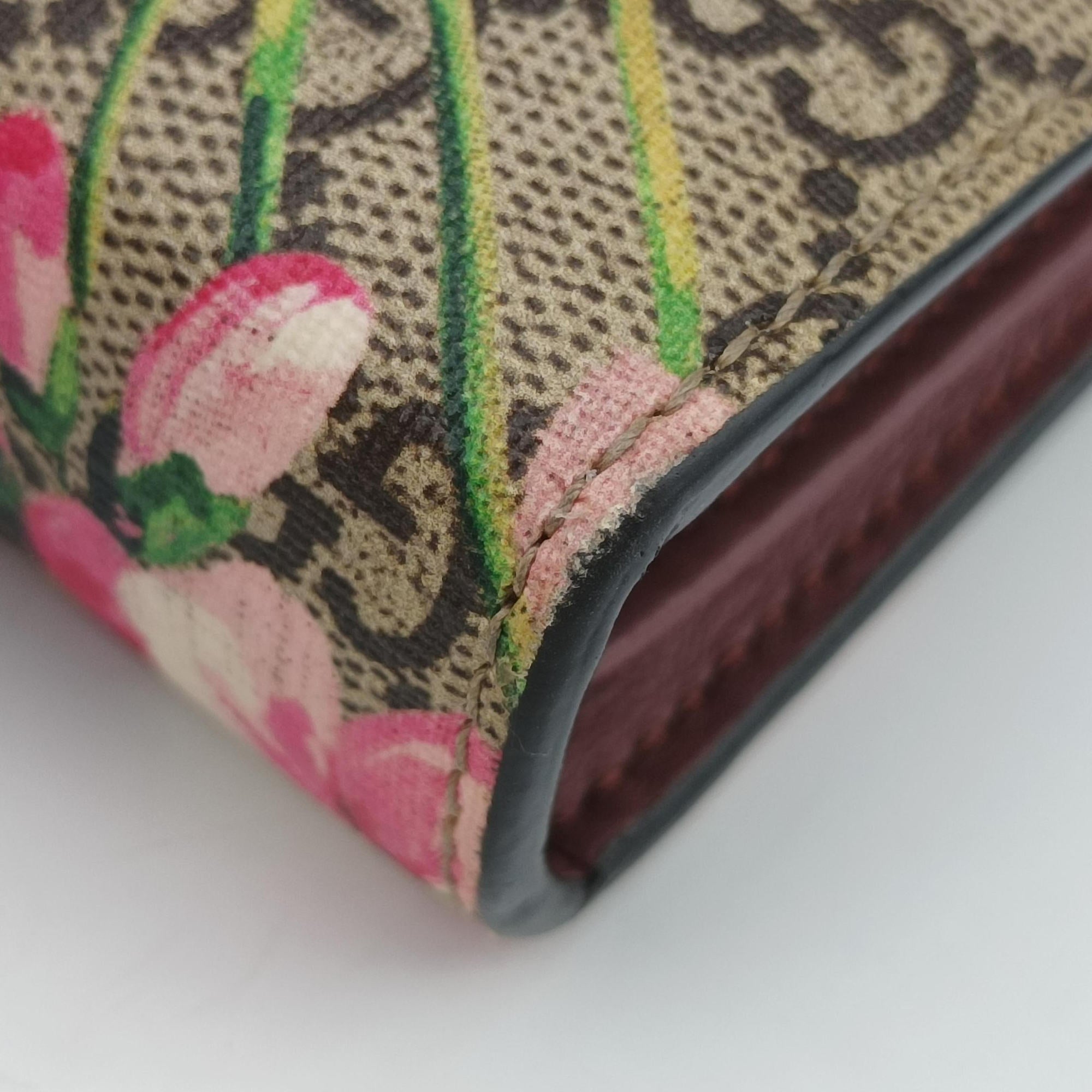 Dionysus Multicolour PVC coated canvas 401231 ディオニュソス マルチカラー PVCコーティングキャンバス 401231