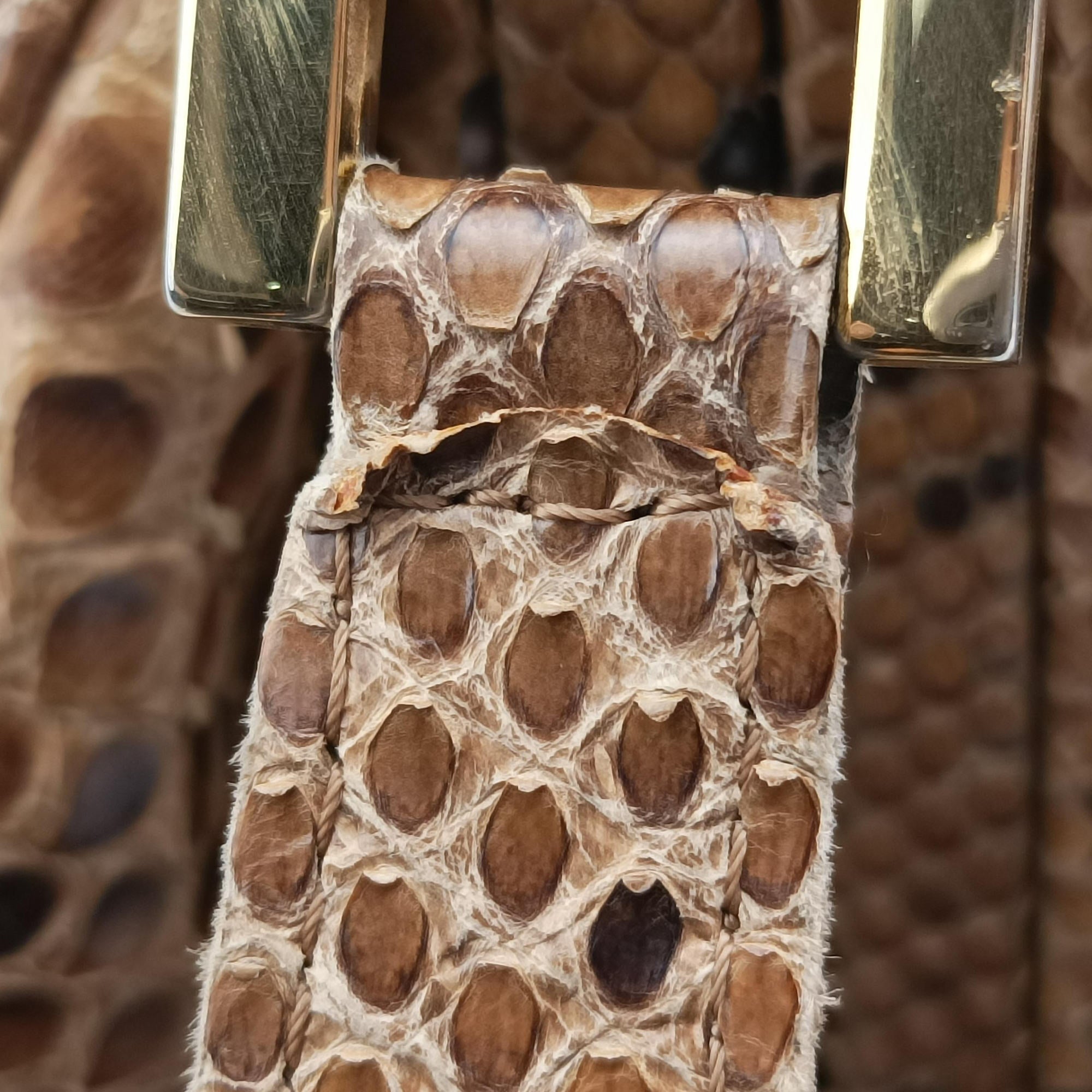 Patchwork Frame Tobacco × Brown Canvas × Python 15240 4 15240/0 9パッチワーク フレーム タバコ × ブラウン キャンバス × パイソン 15240 4 15240/0 9