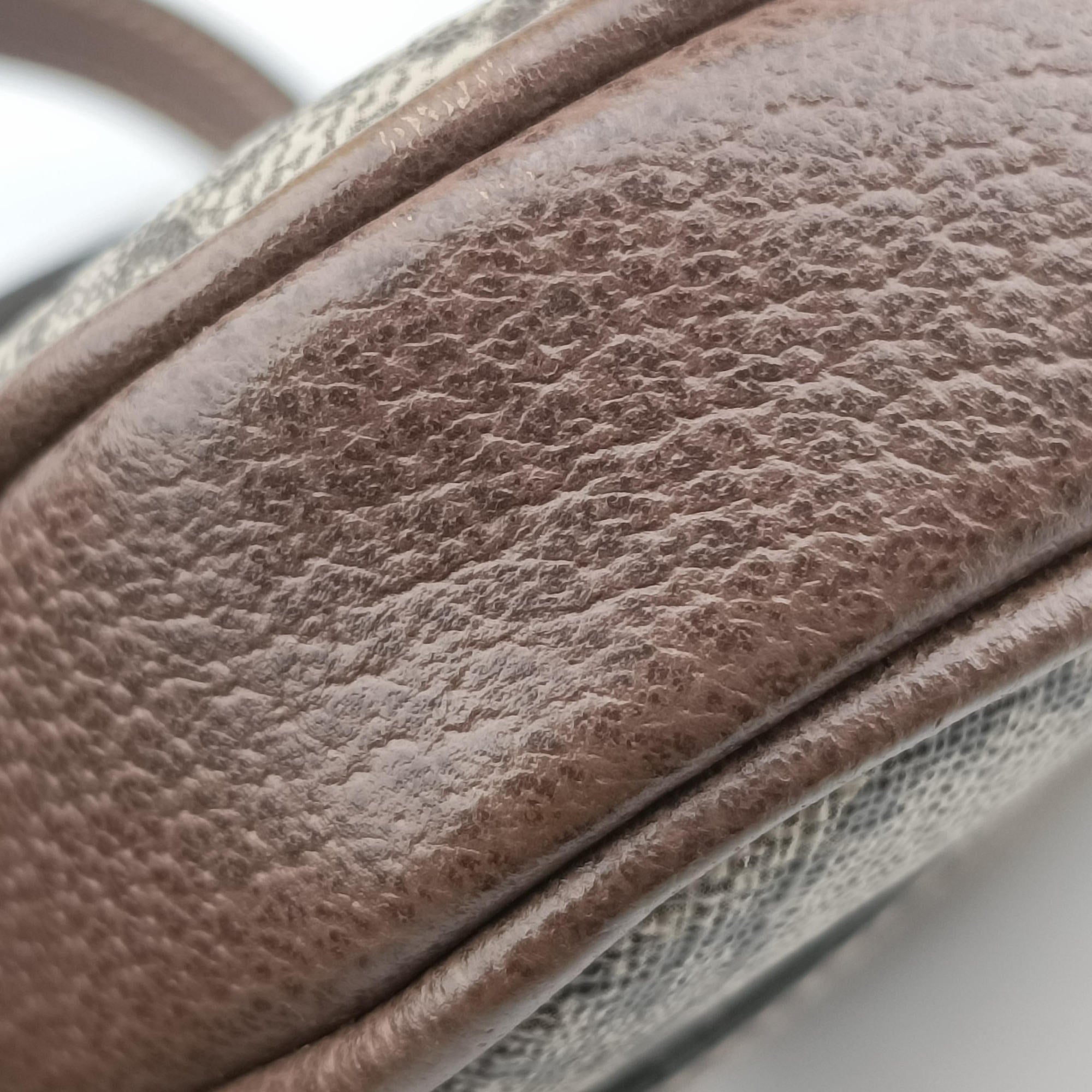 Ophidia Beige×red×green PVC coated canvas×leather 598664 オフィディア ベージュ×レッド×グリーン PVCコーティングキャンバス×レザー 598664