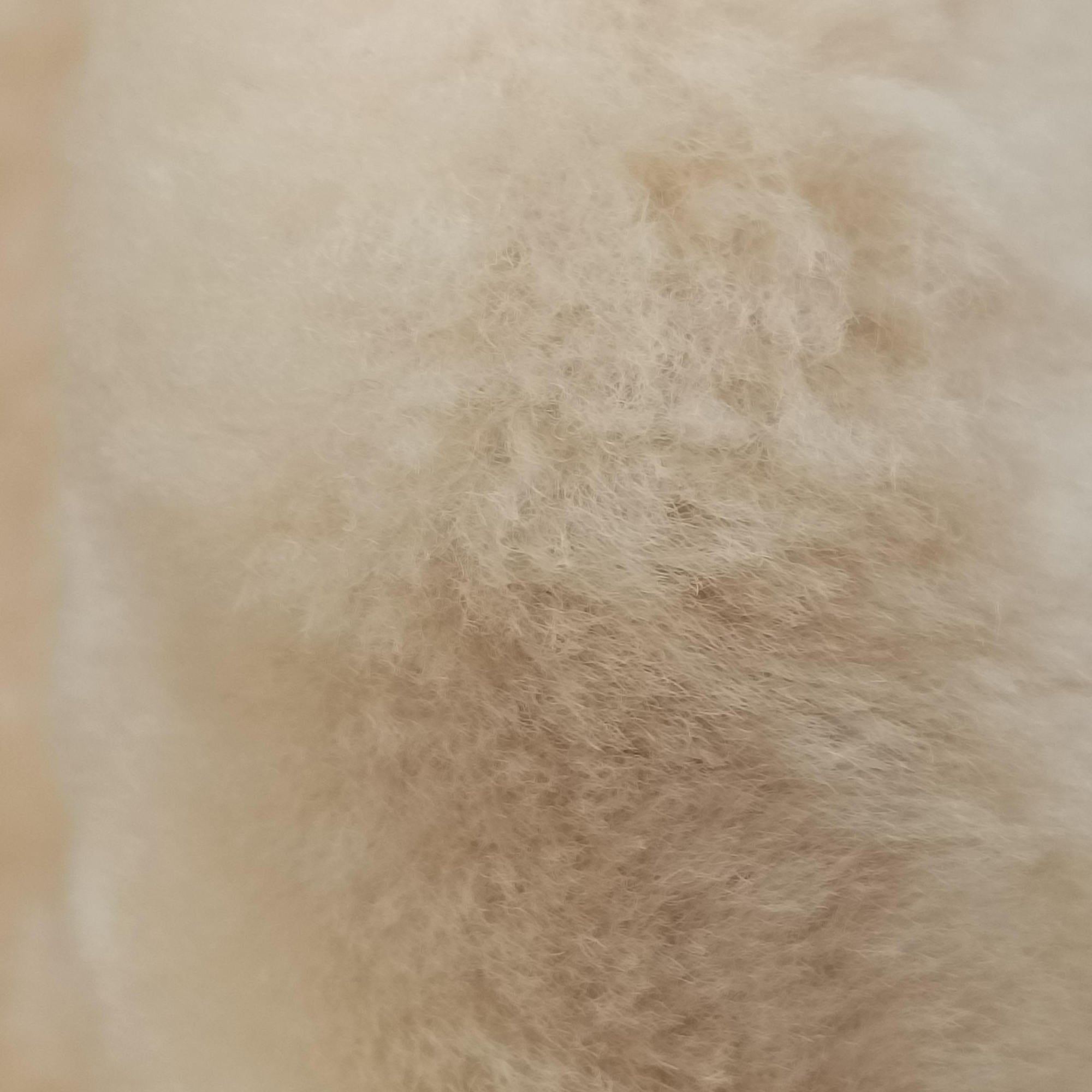 PAPIER A6 Beige Mouton 410288.2780.Y.002123ペーパーA6 ベージュ ムートン 410288.2780.Y.002123