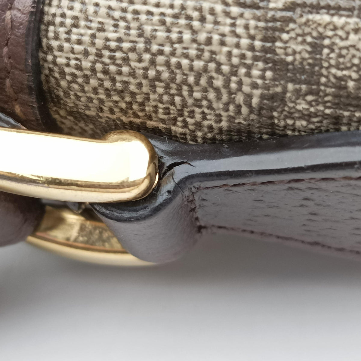 OPHIDIA Brown×red×green PVC coated canvas×Leather 517350 オフィディア ブラウン×レッド×グリーン PVCコーティングキャンバス×レザー 517350