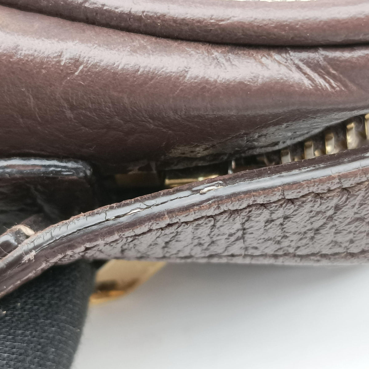 OPHIDIA Brown×red×green PVC coated canvas×Leather 517350 オフィディア ブラウン×レッド×グリーン PVCコーティングキャンバス×レザー 517350