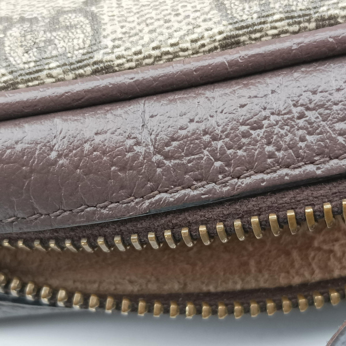 OPHIDIA Brown×red×green PVC coated canvas×Leather 517350 オフィディア ブラウン×レッド×グリーン PVCコーティングキャンバス×レザー 517350