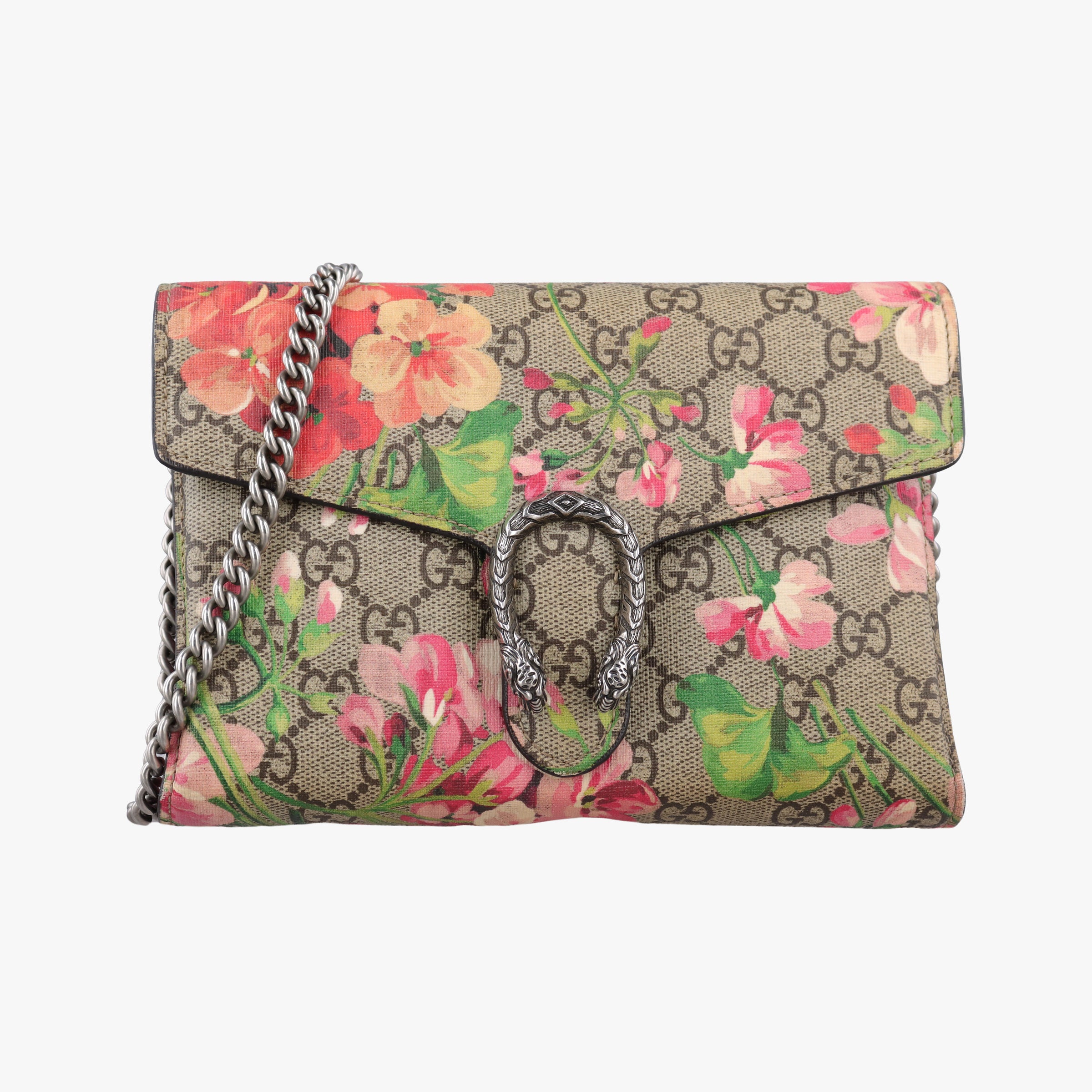 Dionysus Multicolour PVC coated canvas 401231 ディオニュソス マルチカラー PVCコーティングキャンバス 401231
