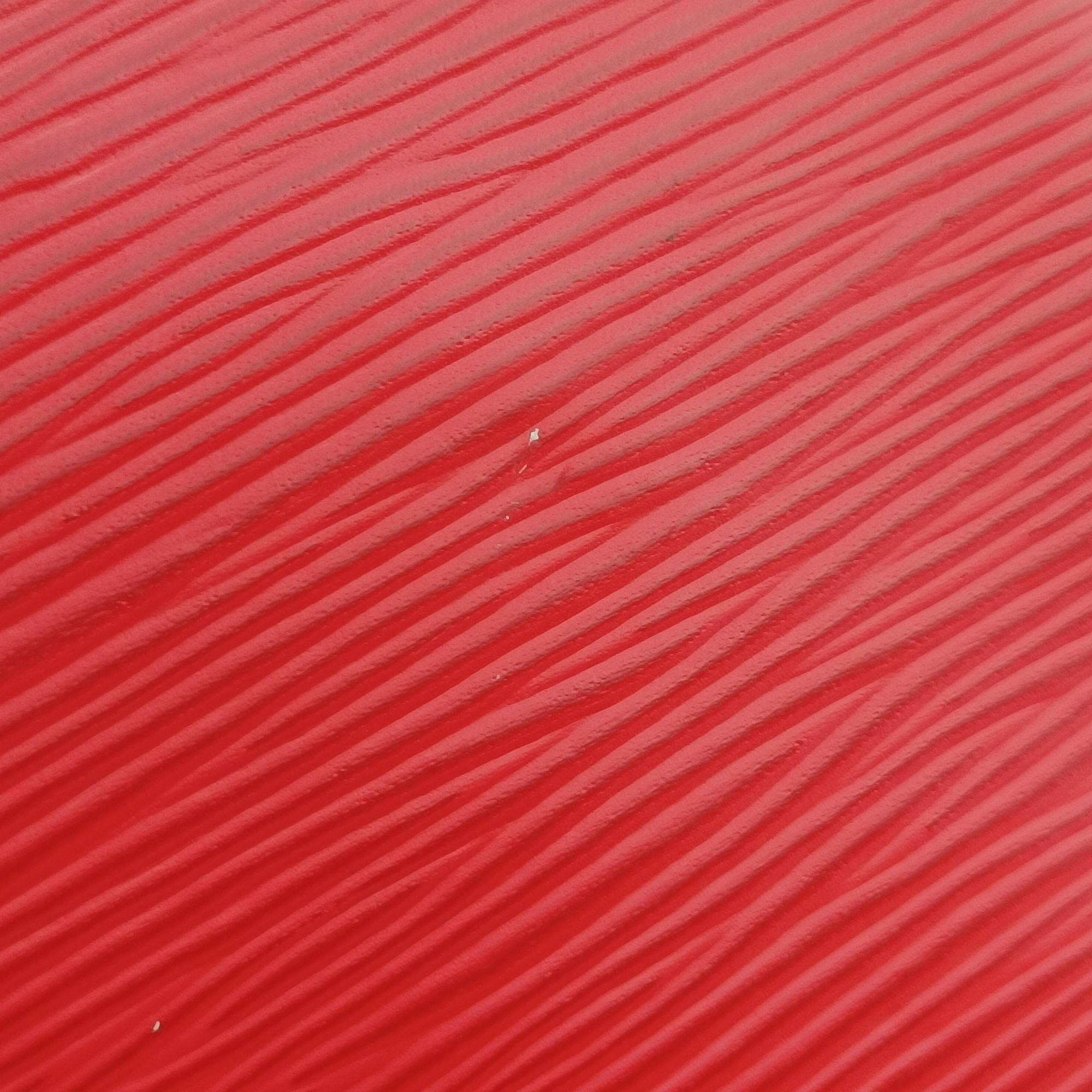NeoNoe COQUELICOT Epi M54365 SR4118ネオノエ コクリコ エピ M54365 SR4118