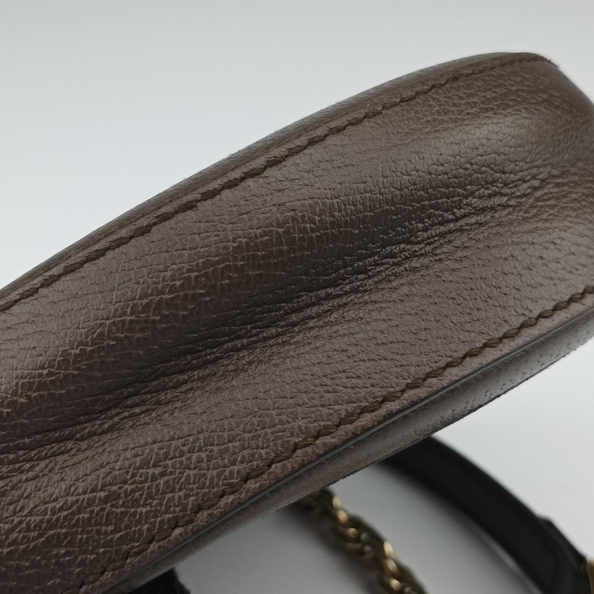Pre-owned Gucci Ophidia Brown×beige×multi PVC coated canvas×Leather 550618 shoulderbag | stylenewstar