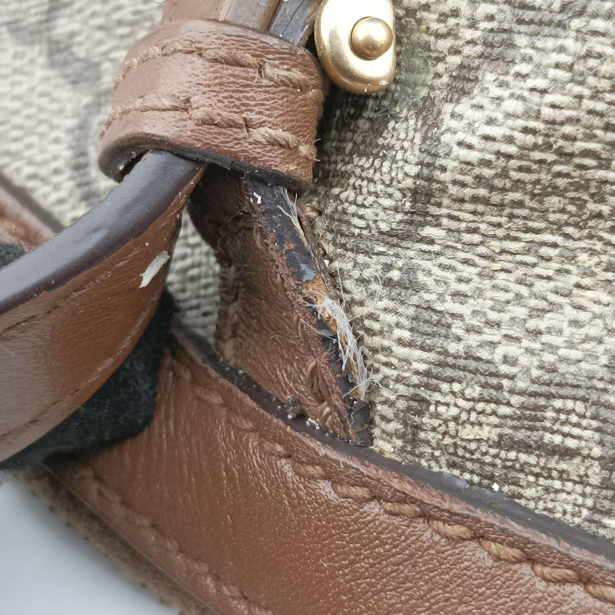 GG Supreme Medium Nice Dome Beige×Brown PVC coated canvas × leather 309614 C013356054GGスプリーム ミディアム ナイス ドーム ベージュ×ブラウン PVCコーティングキャンバス×レザー 309614 C013356054