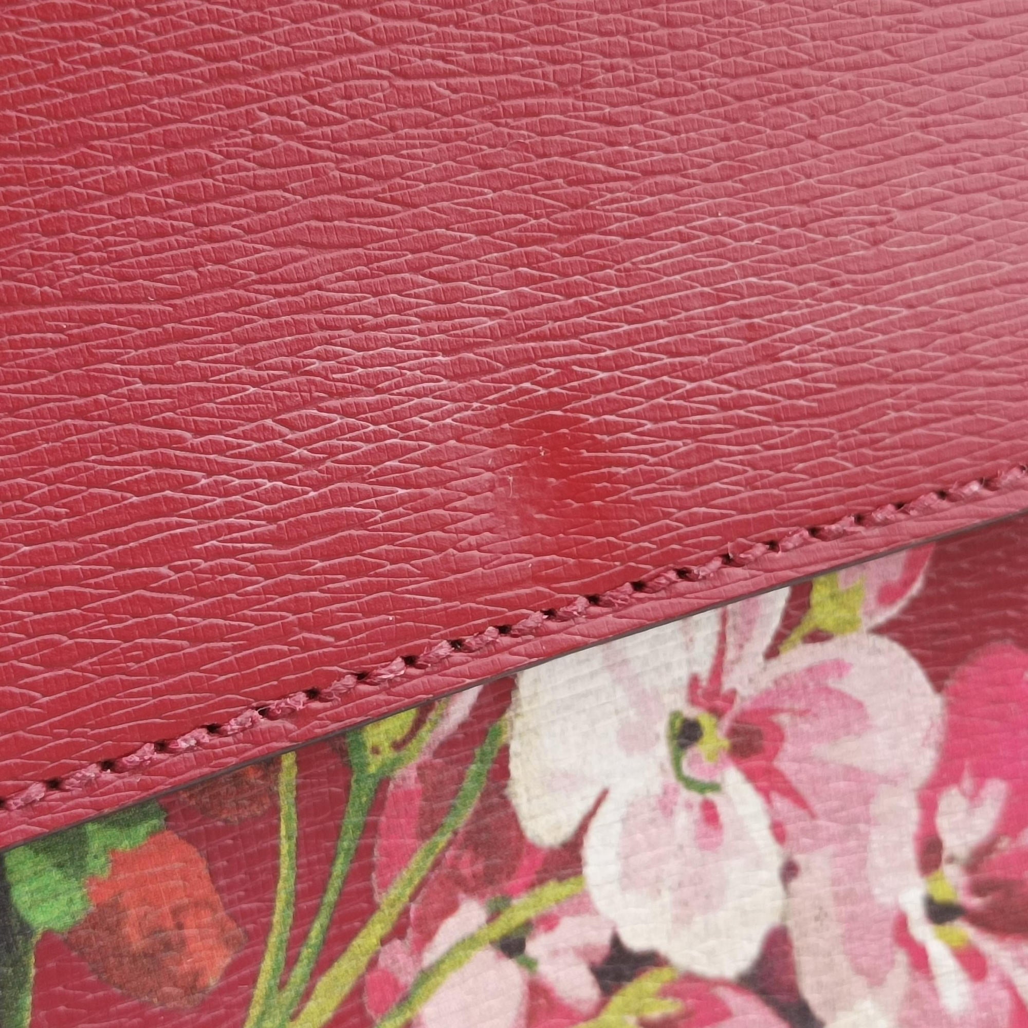Dionysus Multicolour Leather 400249 Lot number unknownディオニュソス マルチカラー レザー 400249 製番不明