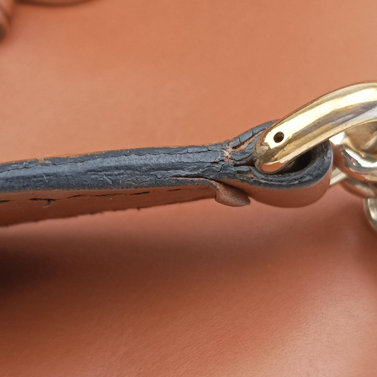 Emily Camel Leather 283063 F011110377エミリー キャメル レザー 283063 F011110377
