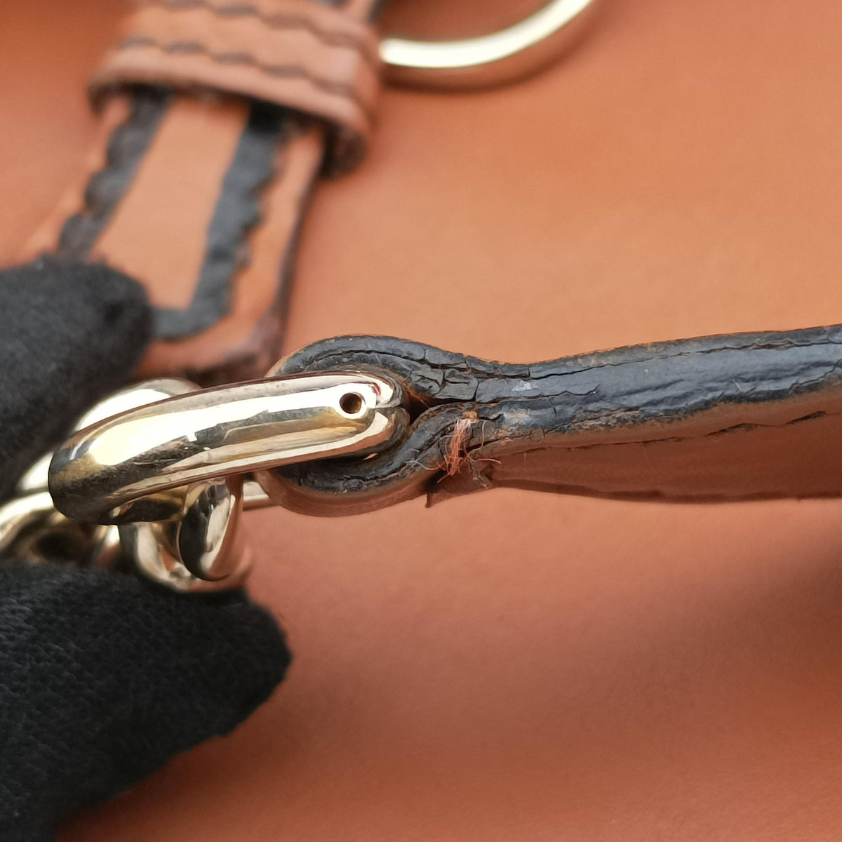 Emily Camel Leather 283063 F011110377エミリー キャメル レザー 283063 F011110377