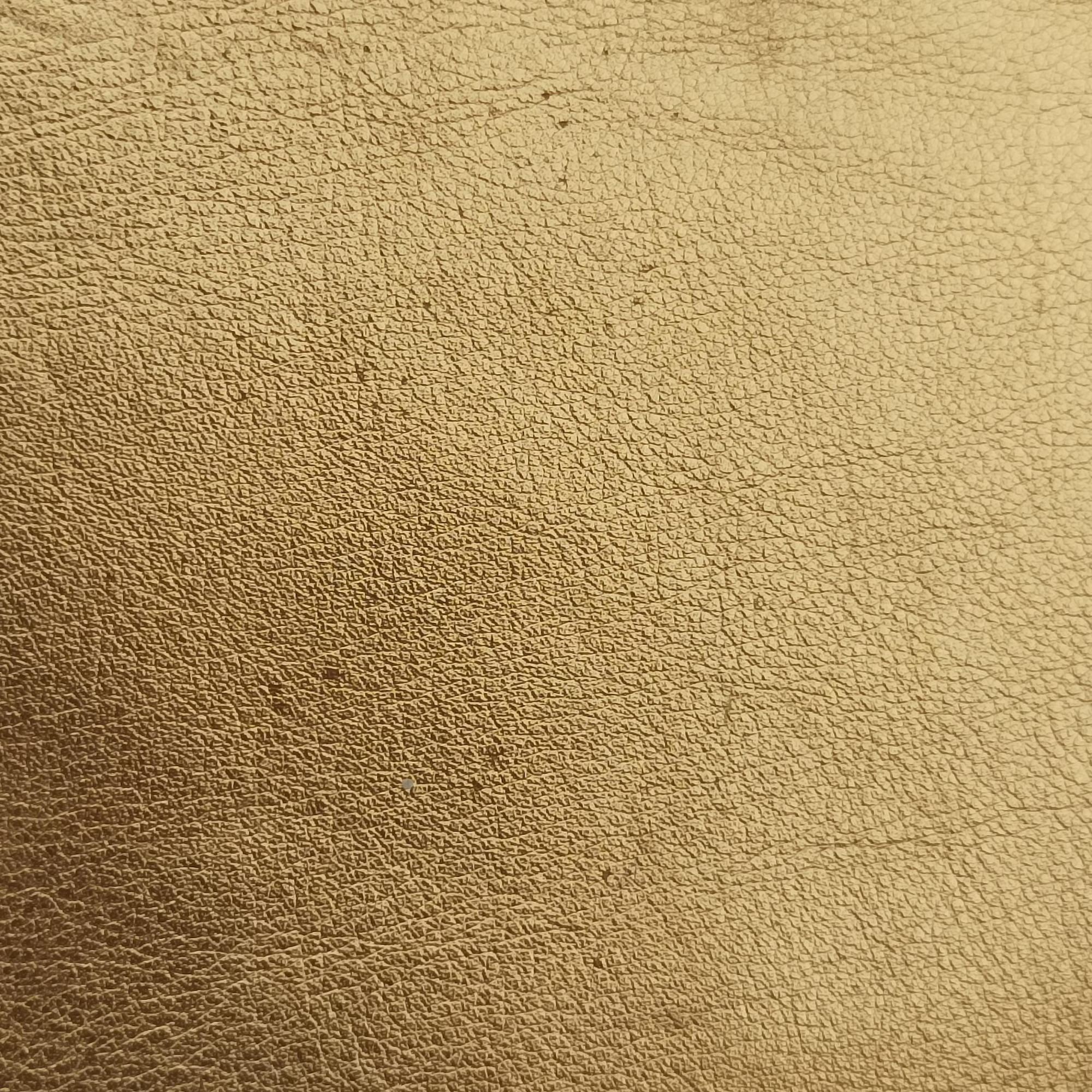 F is Golden Leather 8BS006 8BS006 A0Y1 188-8241エフ イズ ゴールド レザー 8BS006 8BS006 A0Y1 188-8241