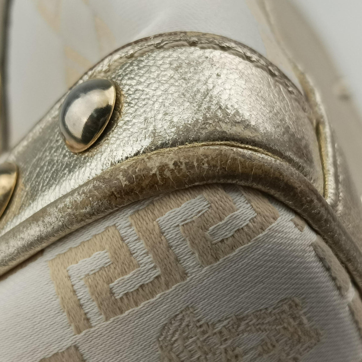 La Medusa Golden Canvas × Leather ラ メデューサ ゴールド キャンバス × レザー