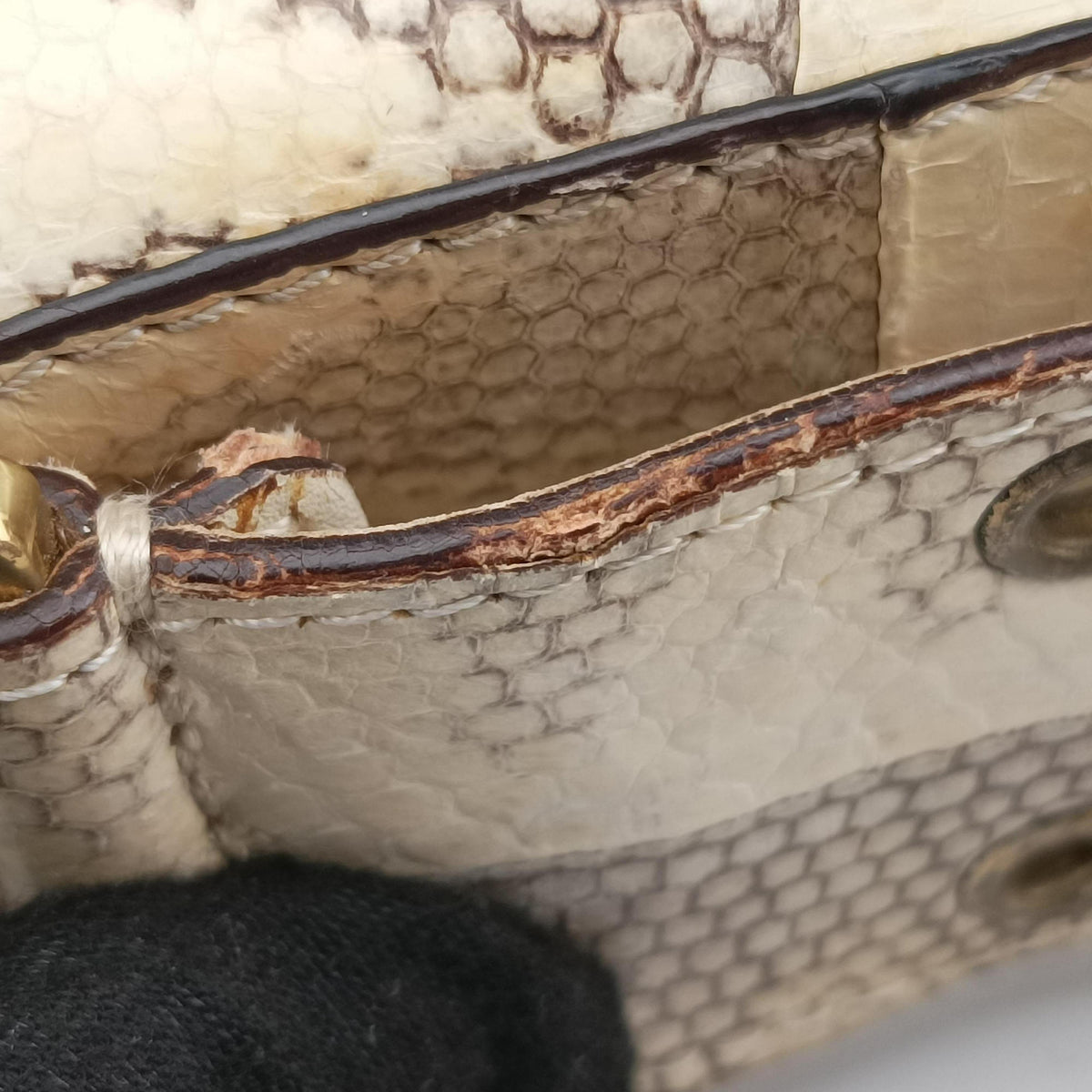Street Chic Columbus Beige Python×canvas 00-MA-1022ストリートシック コロンバス ベージュ パイソン×キャンバス 00-MA-1022