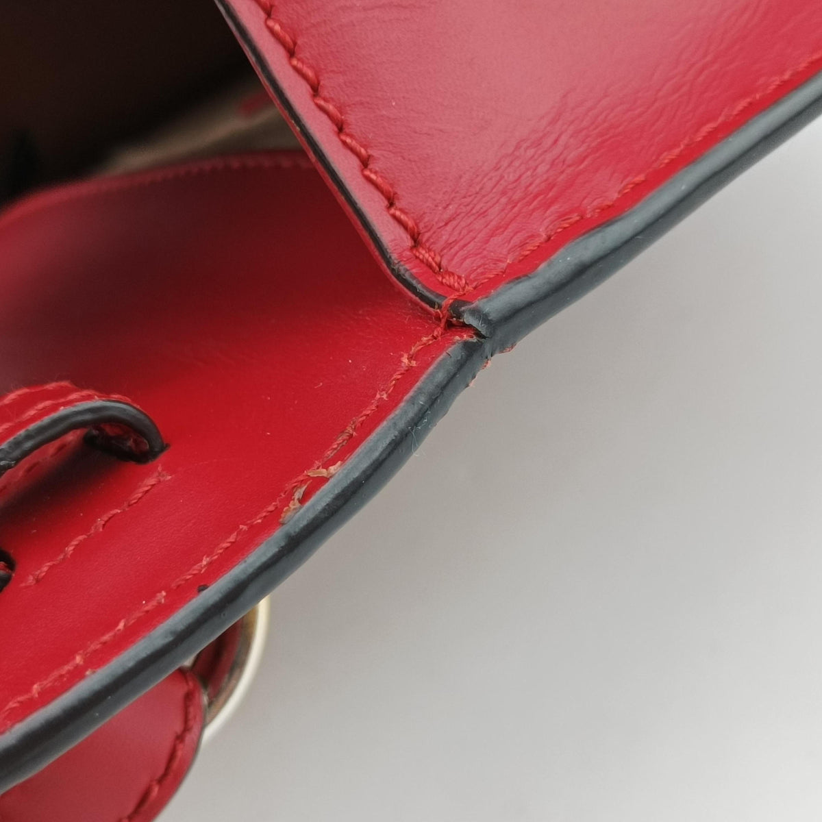 Sylvie Red Leather 470270 A022671434シルヴィ レッド レザー 470270 A022671434