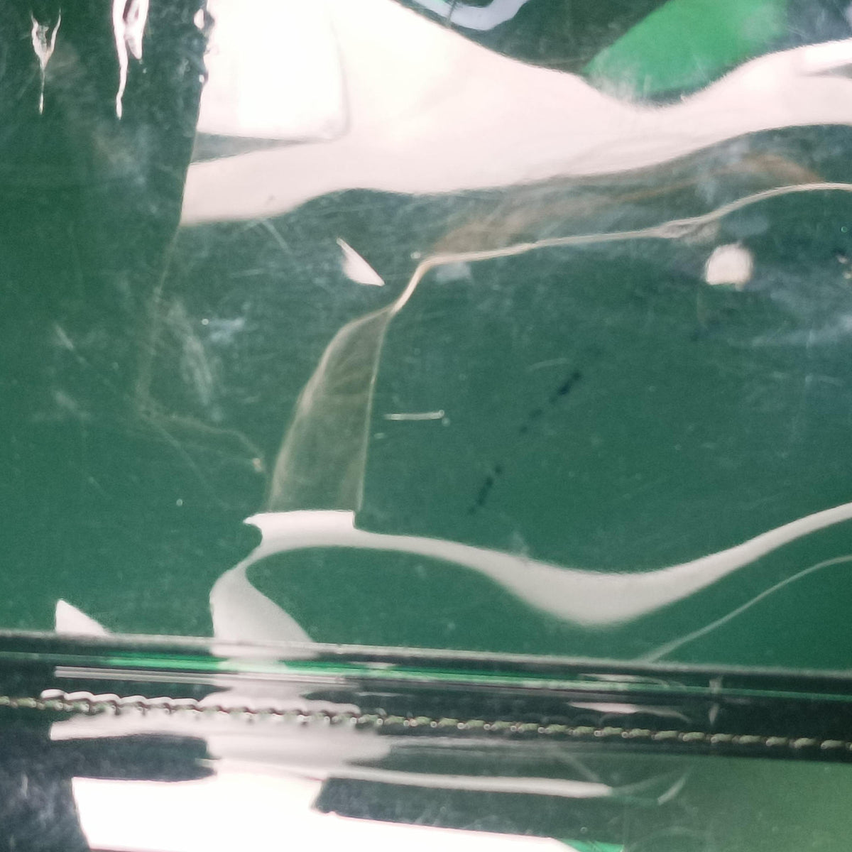 The Hero Brillant Green PVC (Vinyl Chloride) × Rubber ザ ヒーロー ブリヨン グリーン PVC(塩化ビニール)×ラバー
