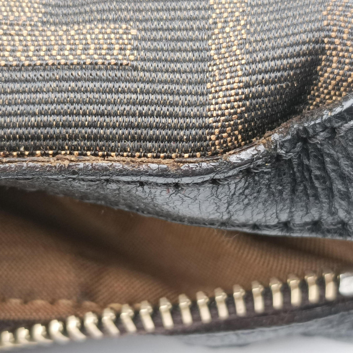 Zucca Brown canvas 8BT142 2516-8BT142.RAD-098ズッカ ブラウン キャンバス 8BT142 2516-8BT142.RAD-098