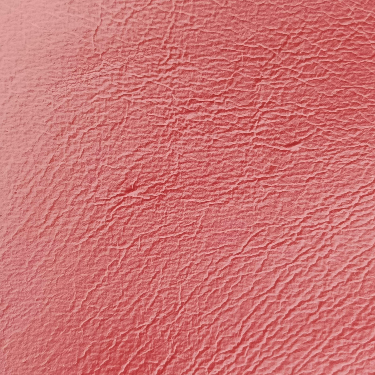 Arli Red Leather 550129 D030208909アリー レッド レザー 550129 D030208909