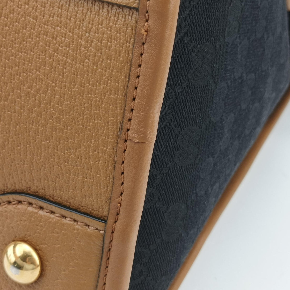 Ophidia Black×Brown canvas×leather 715773 H038963919オフィディア ブラック×ブラウン キャンバス×レザー 715773 H038963919