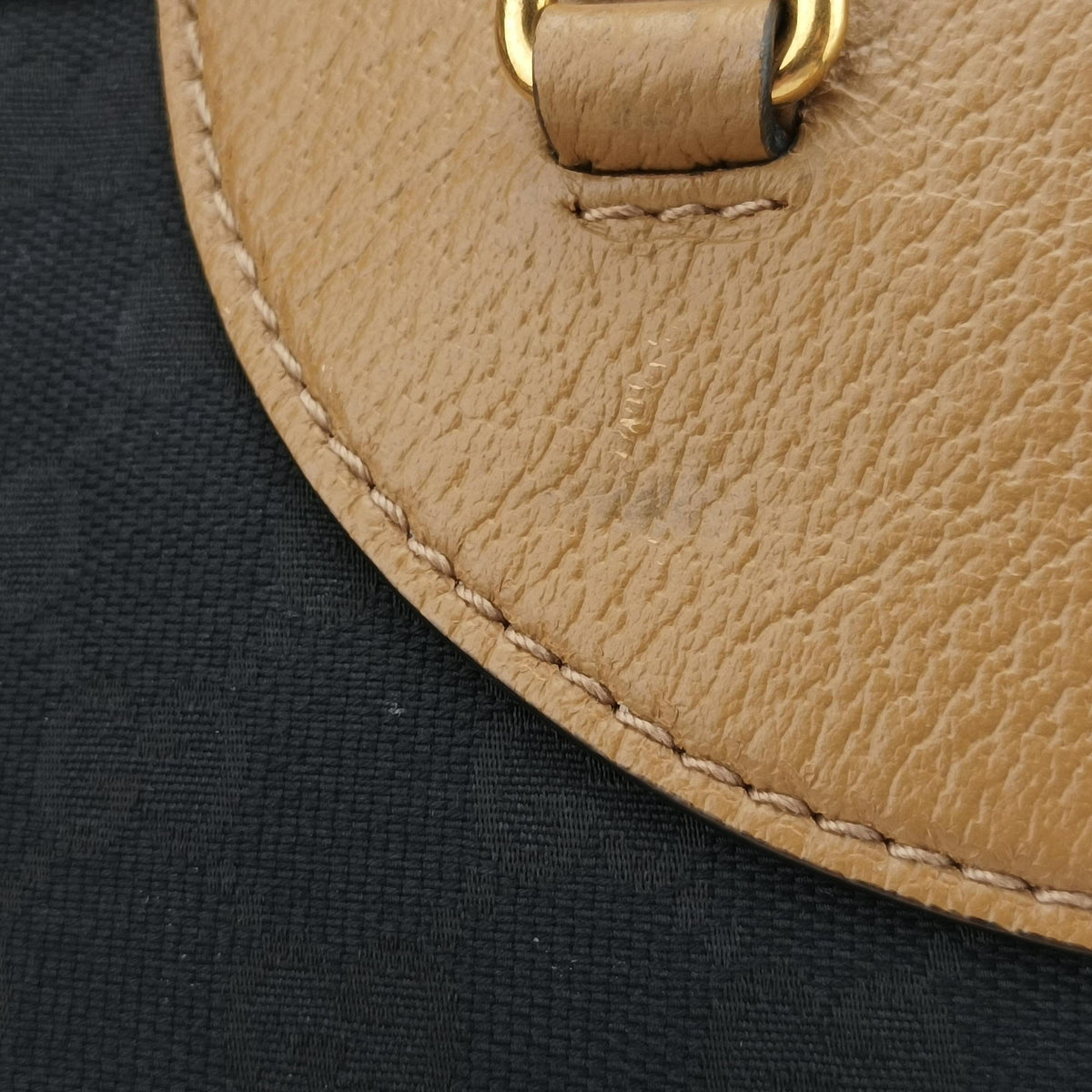 Ophidia Black×Brown canvas×leather 715773 H038963919オフィディア ブラック×ブラウン キャンバス×レザー 715773 H038963919